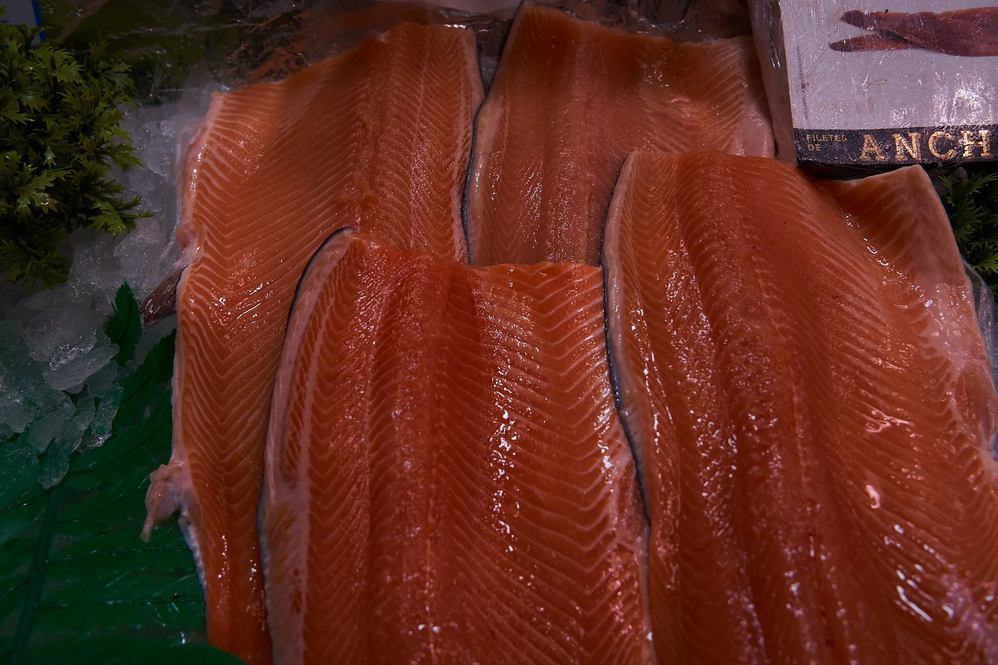 DSC01796.jpg