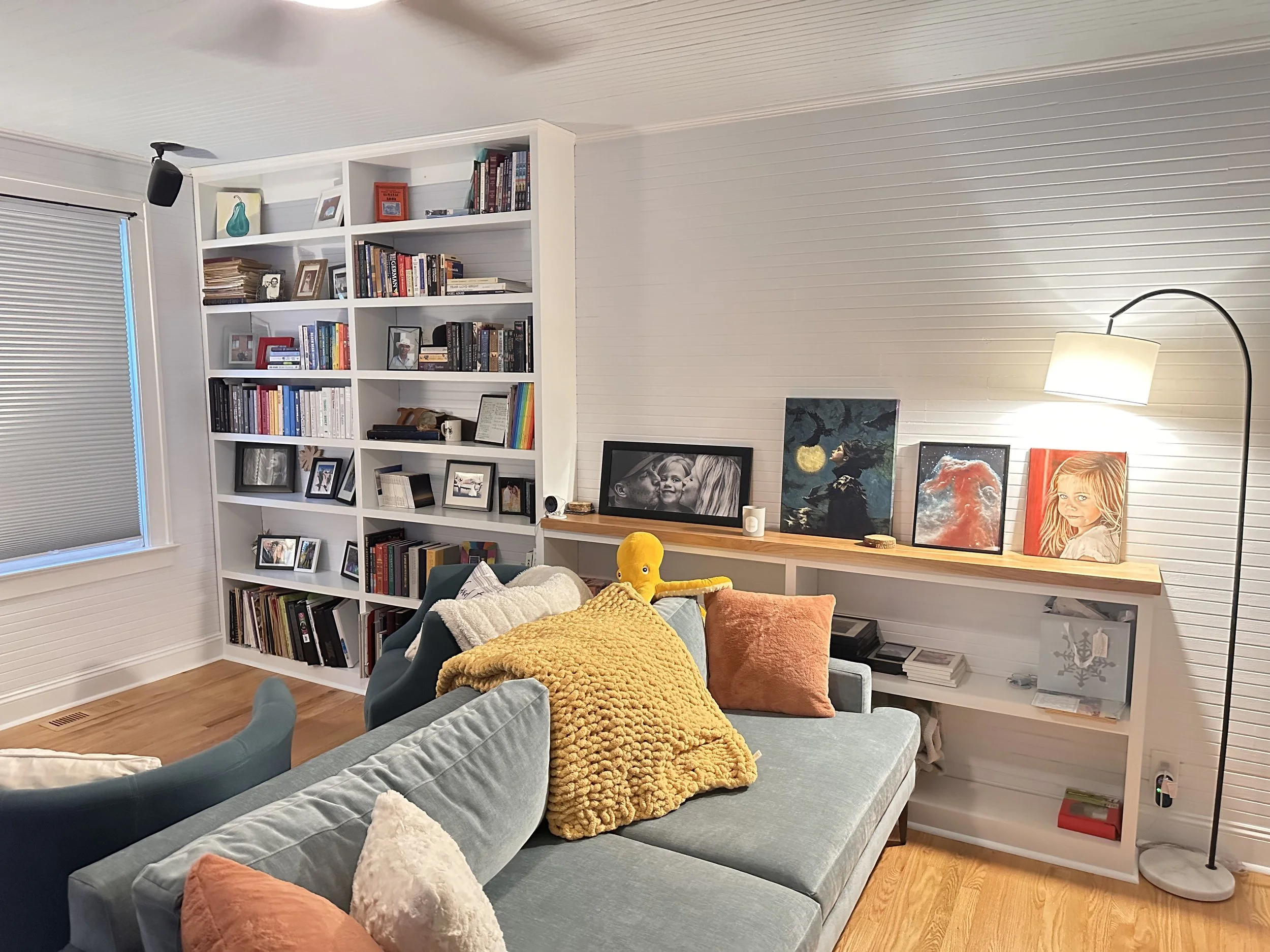Living room display and book shelves
