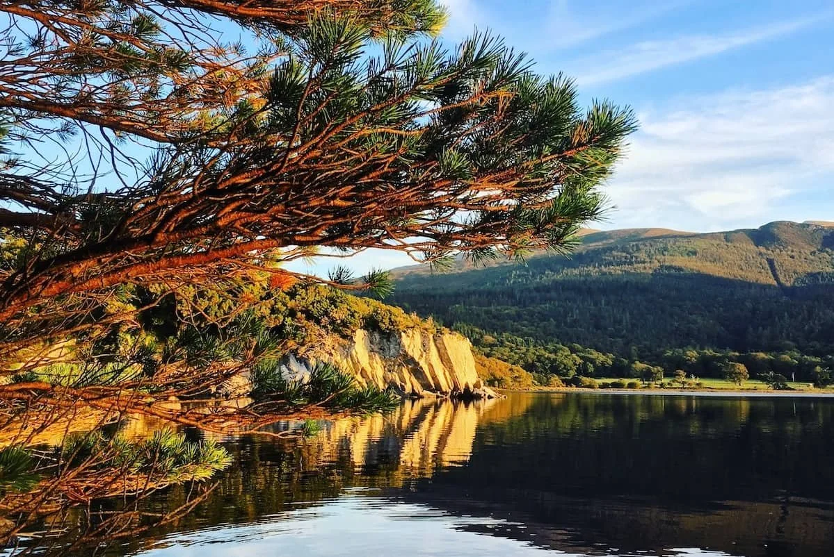 Killarney National Park.jpeg