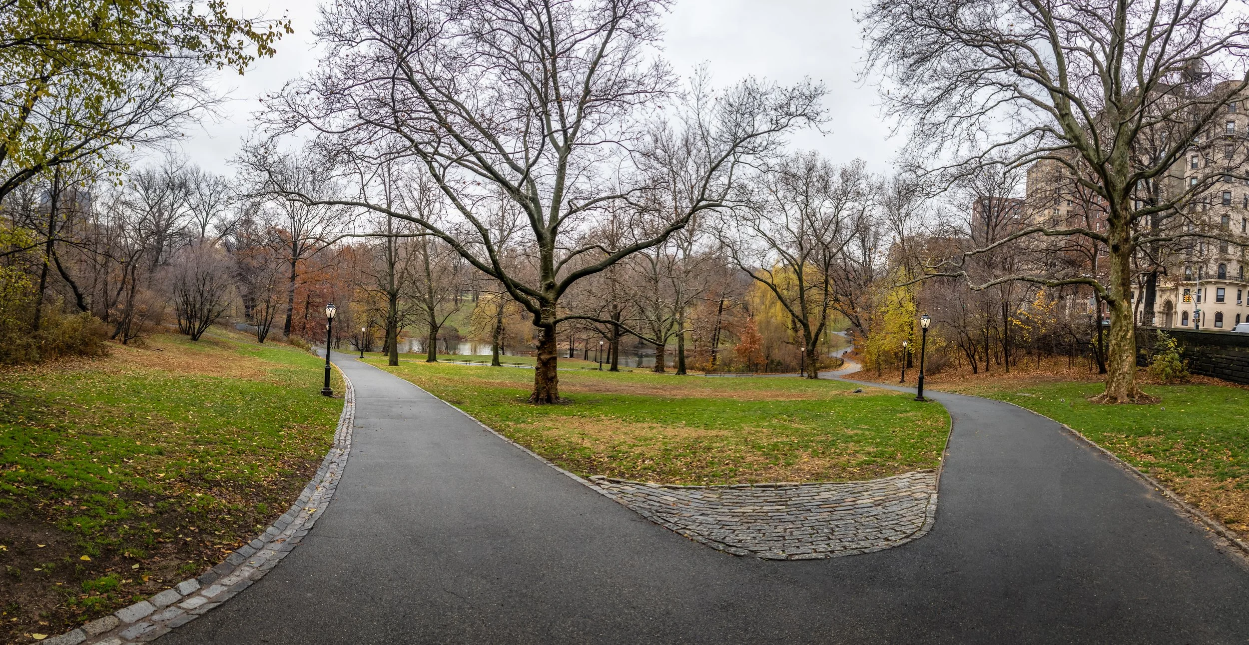 A winding paved pathway in a park with green grass, trees without leaves, and overcast sky, surrounded by a mixture of leafless and some with yellow leaves, with buildings in the background.