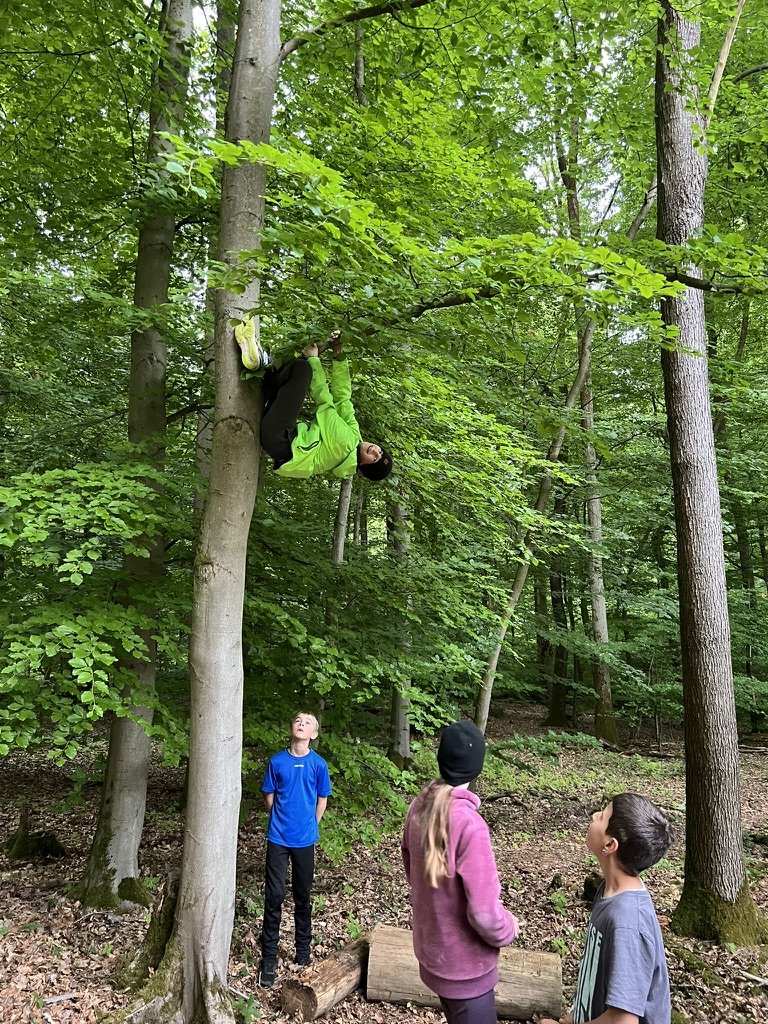 Ein Junge klettert in einem grünen Anzug an einem Baum im Wald, während drei weitere Kinder am Boden stehen und den Kletterer beobachten.