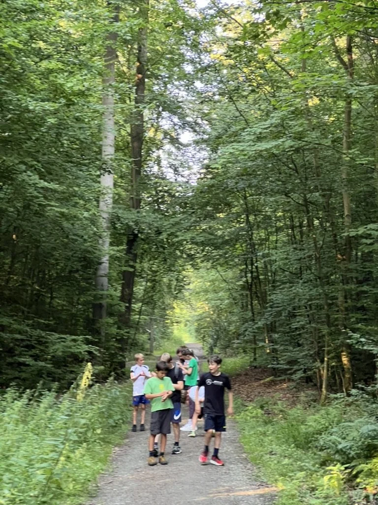 Mehrere Kinder stehen auf einem Wanderweg in einem dichten, grünen Wald, einige schauen auf ihre Geräte.