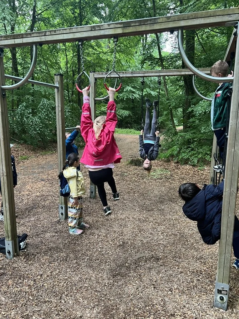 Kinder spielen auf einer Hängebrücke in einem Wald und machen Turnübungen an Turnringen.