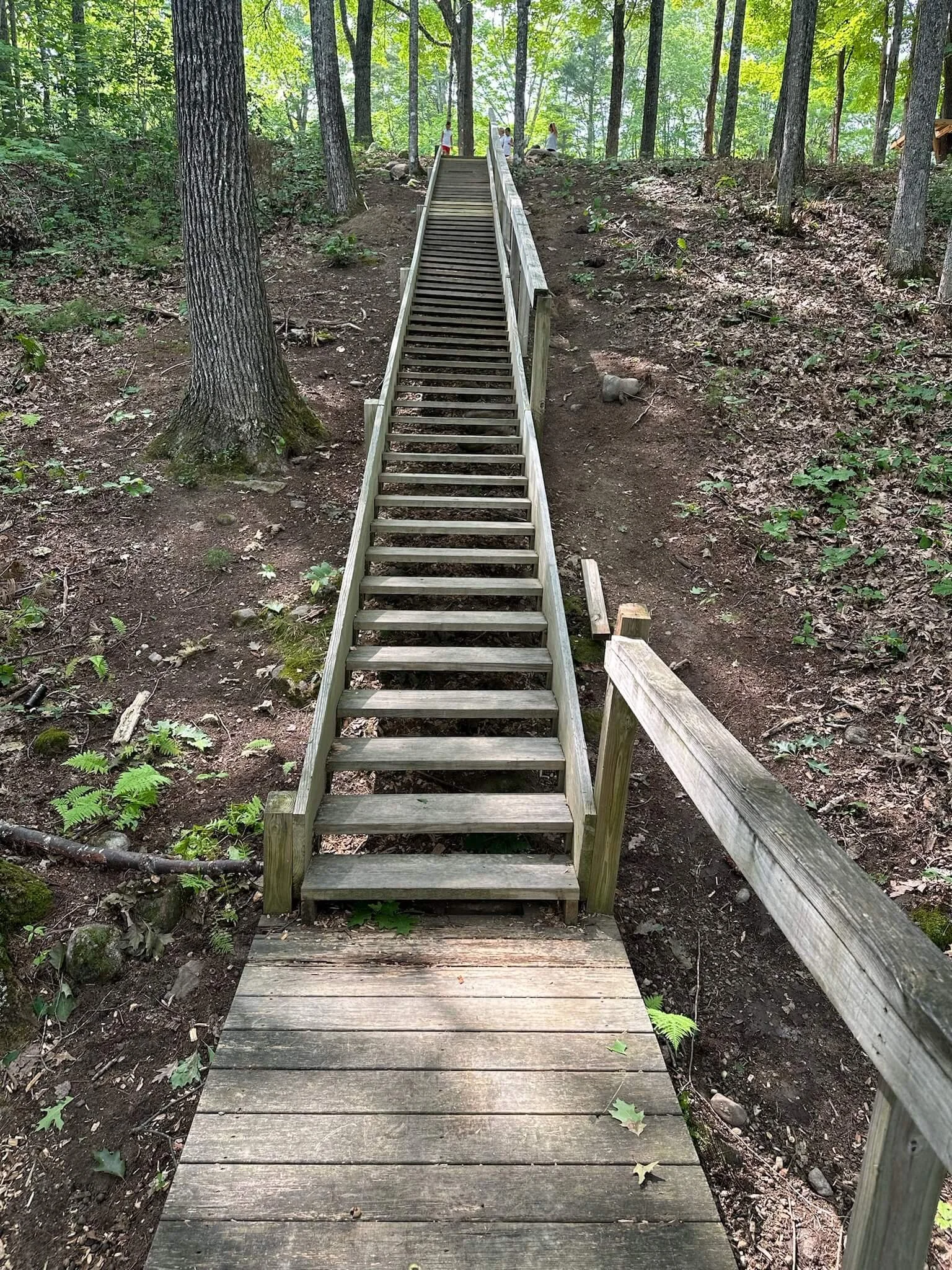 Stairs to Lawn from Dock and Waterfront