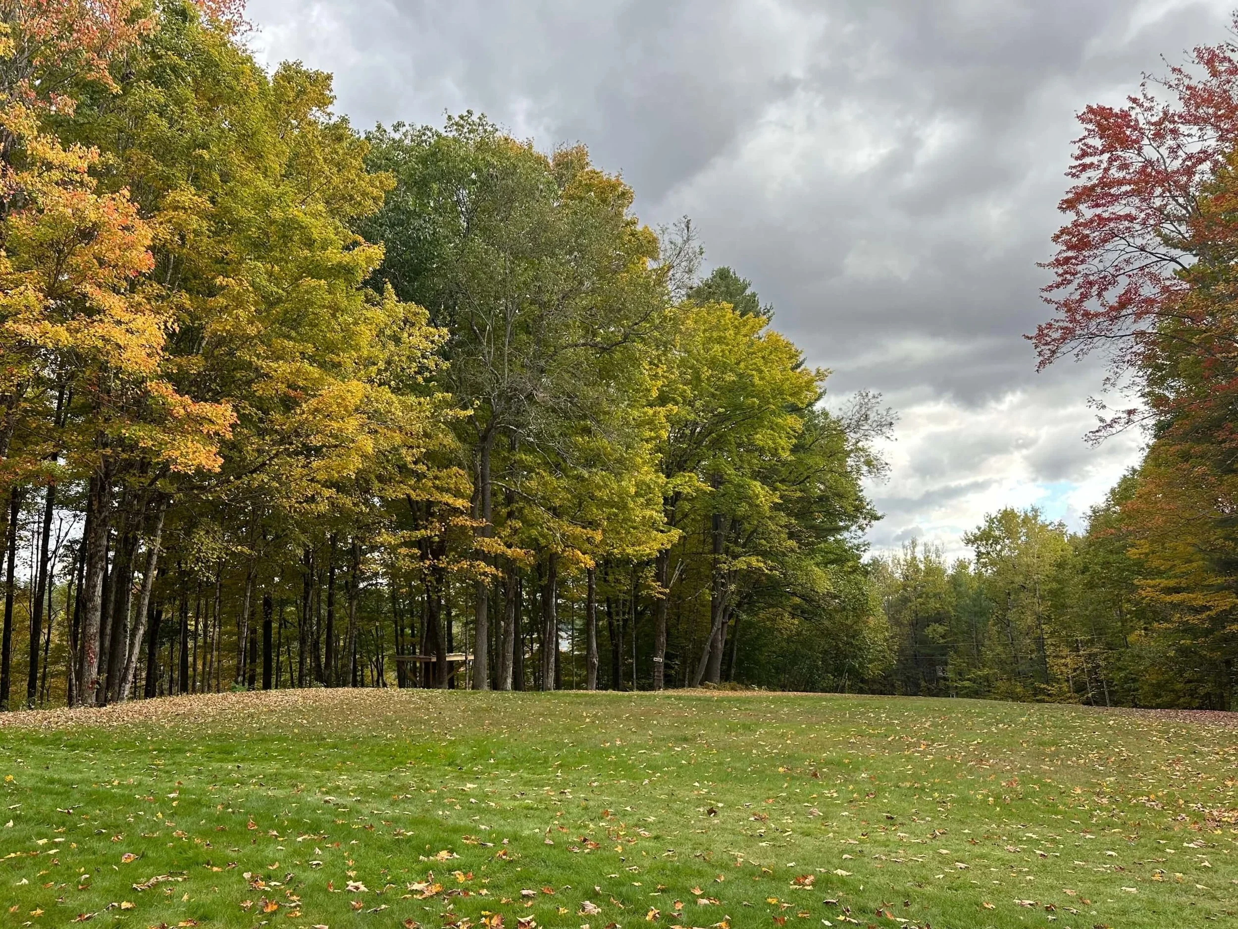 La Posa Lawn in Fall.jpg
