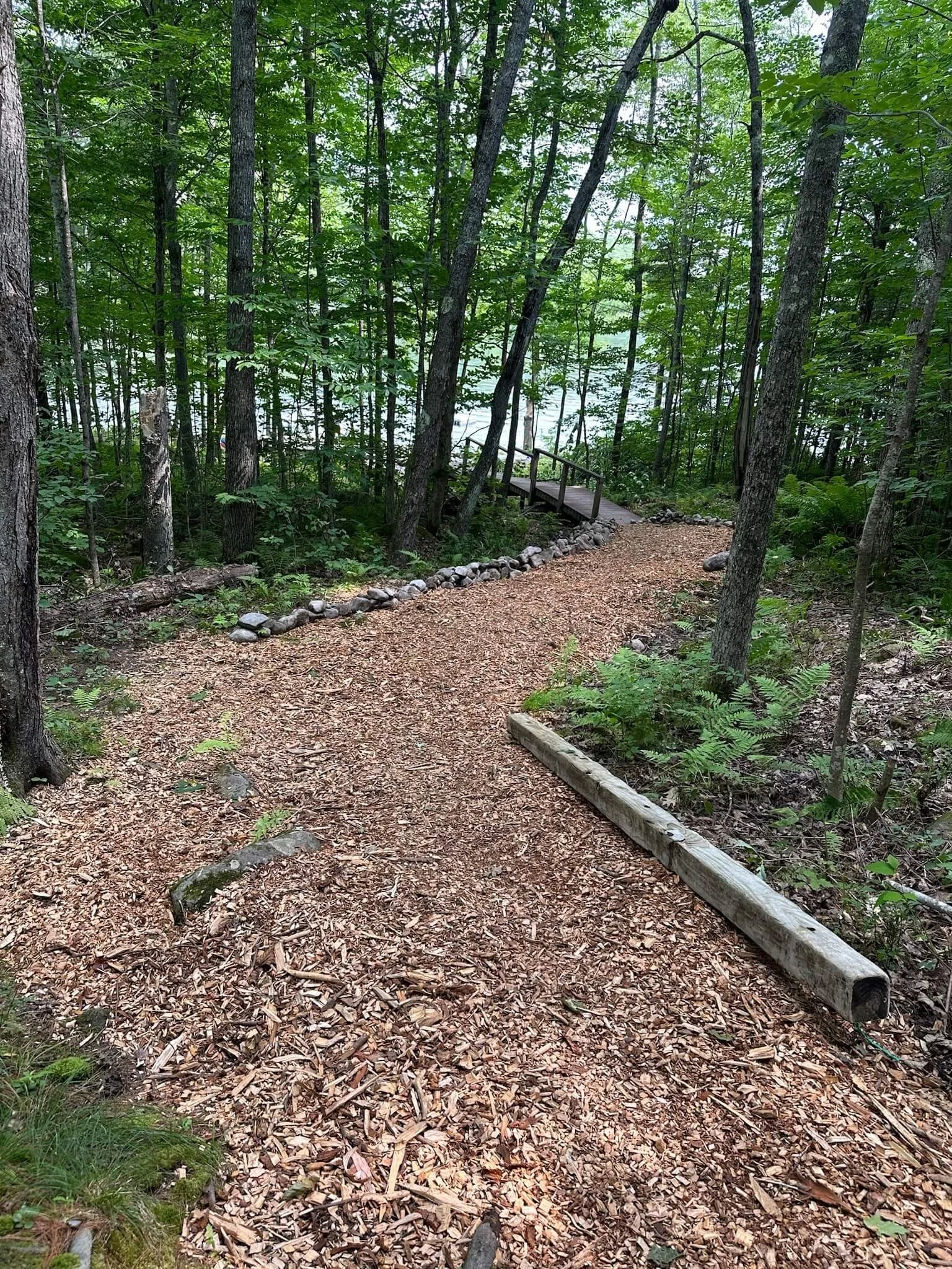 Path to Water from lawn.jpg