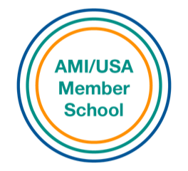 AMI USA LOGO.png