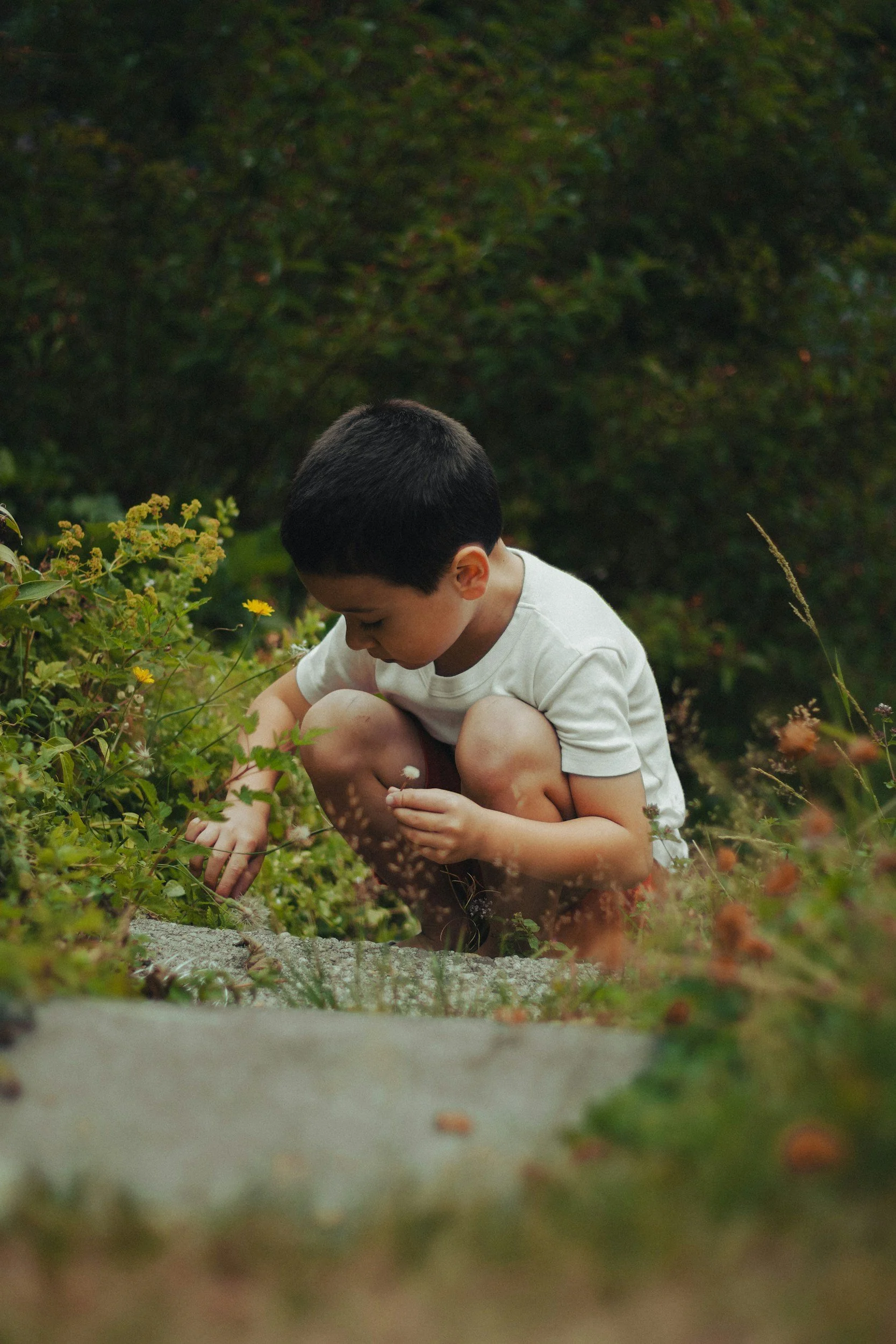 A young boy crouching outdoors on a stone path, examining and touching the plants and flowers around him with a focused expression.
