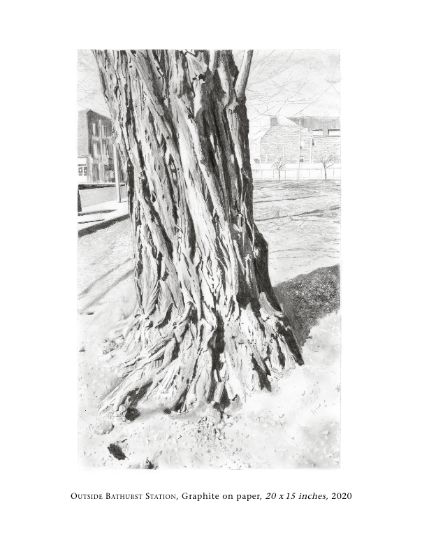 3 Bathurst Station Tree wt.png