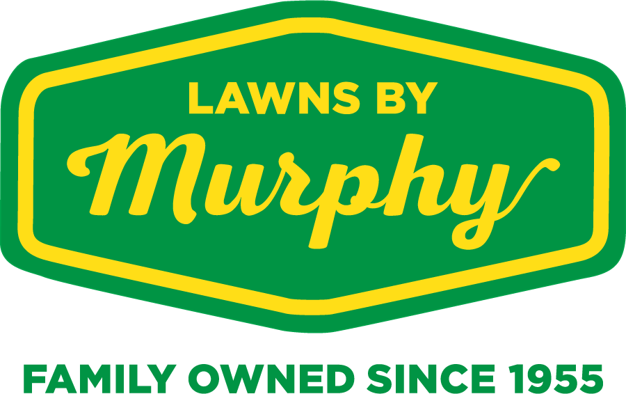 Lawns By Murphy