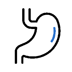 Blue icon of a stomach with a simplified outline