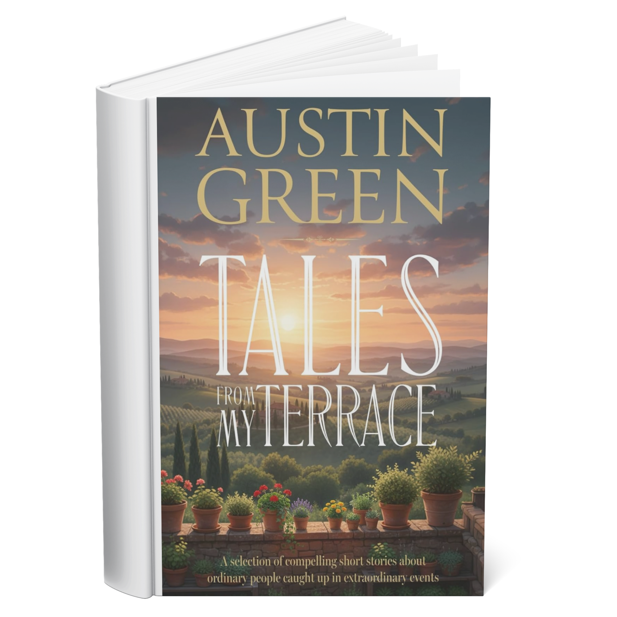 Tales From My Terrace book by Austin Green