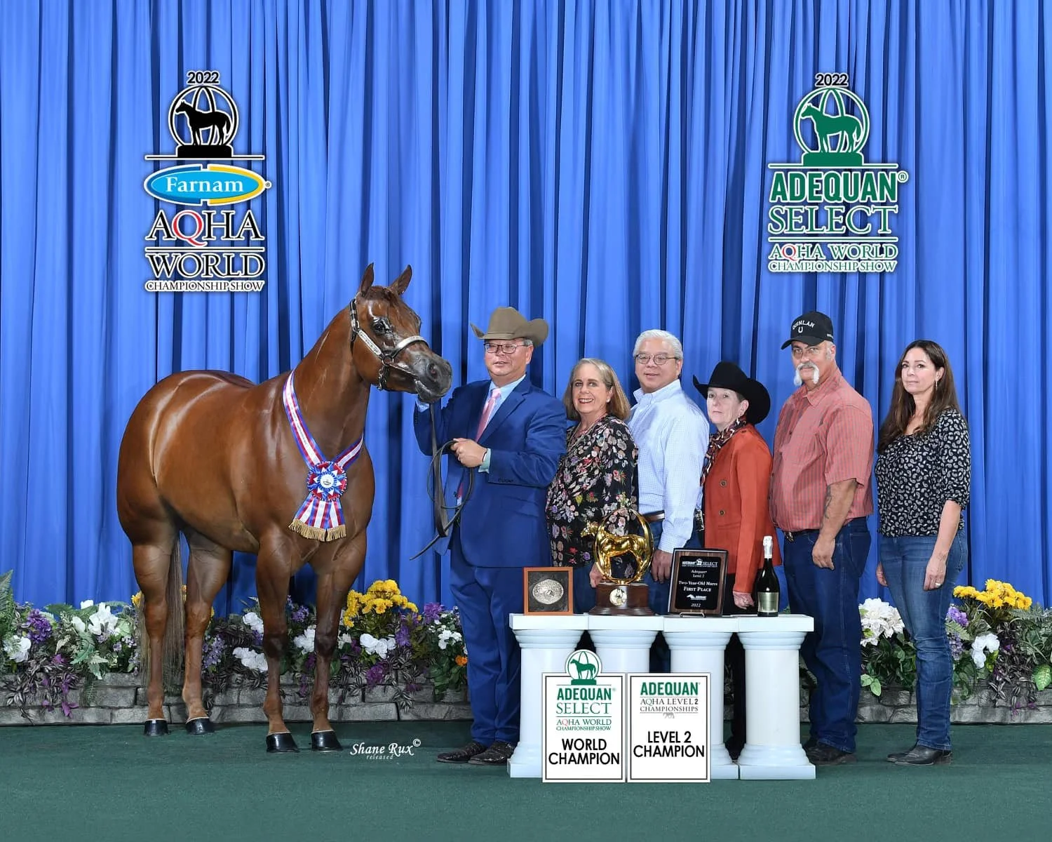A group of seven people celebrating with a horse at an awards ceremony, with blue curtains and trophies on display, including awards for world champion and level 2 champion titles, at the 2022 AQHA World Championship Show.