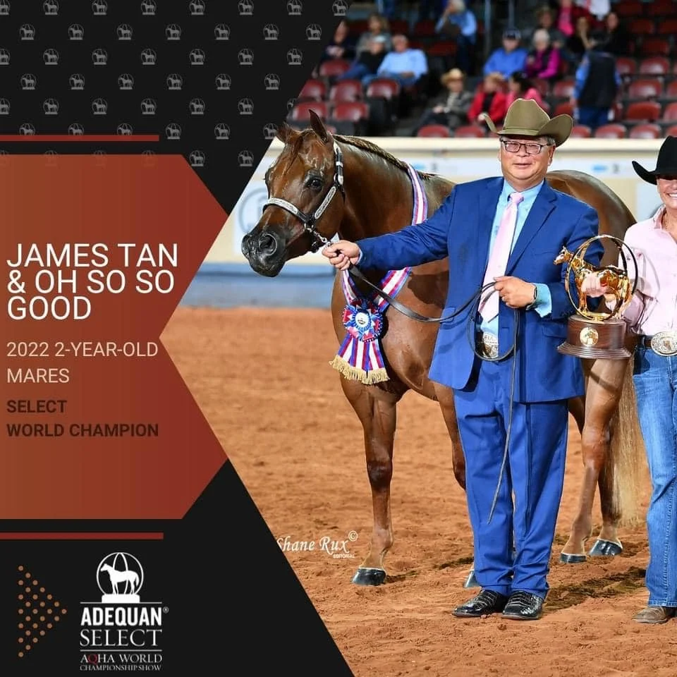 A man in a blue suit, wearing a cowboy hat and glasses, standing next to a brown horse with ribbons and a rosette, in an arena with spectators. He is holding the horse's halter. Another person, partially visible, is holding a trophy. The image commem