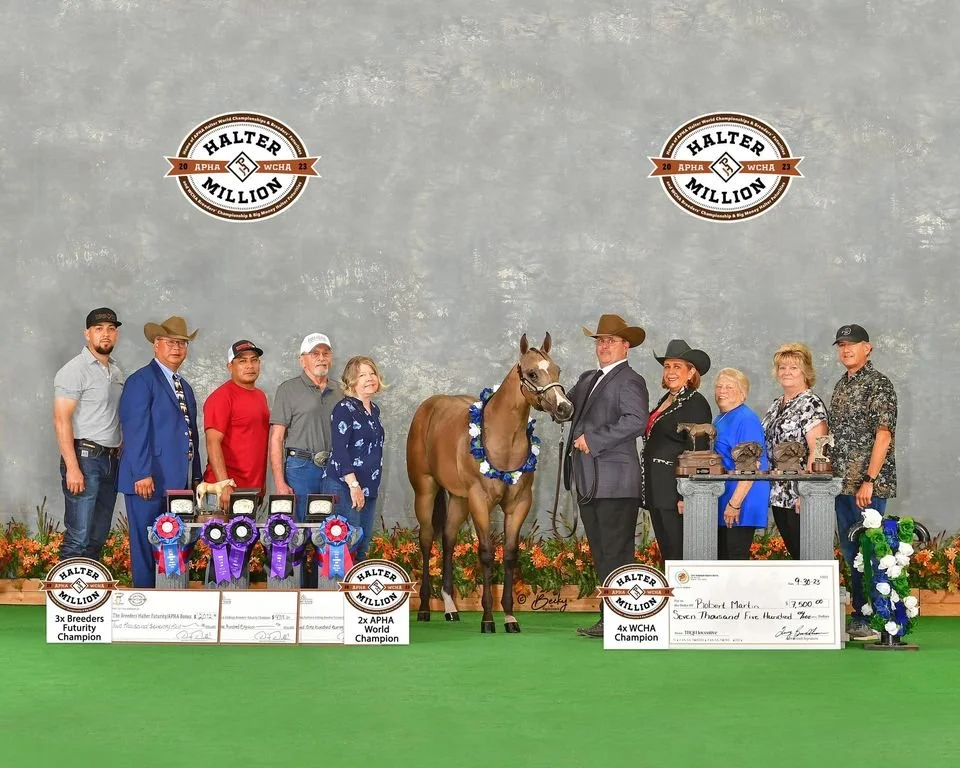 Group of people standing on stage with a horse during an award ceremony, with ribbons, trophies, and large checks in front of them, against a gray backdrop with Halter Million logos.
