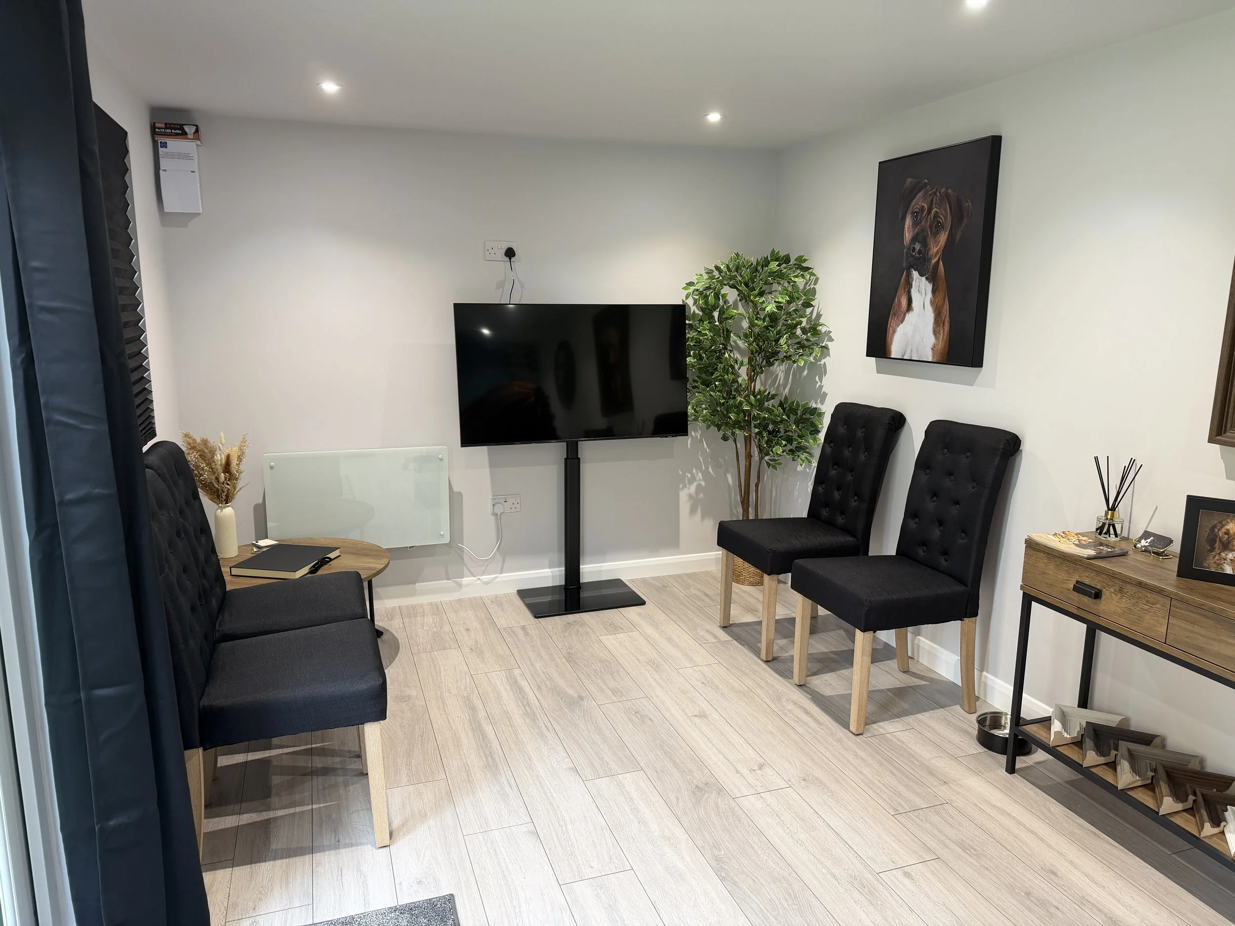 Dog Photography Bedfordshire_Kath Burgess Photography.JPG