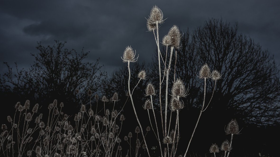 2026: Workshops &amp; Retreats