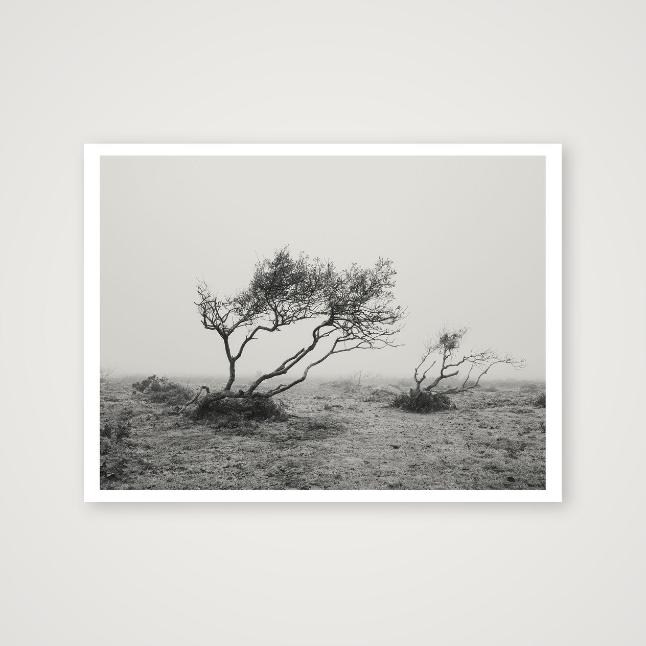 shot_table_312bf867_a70eb654.jpg