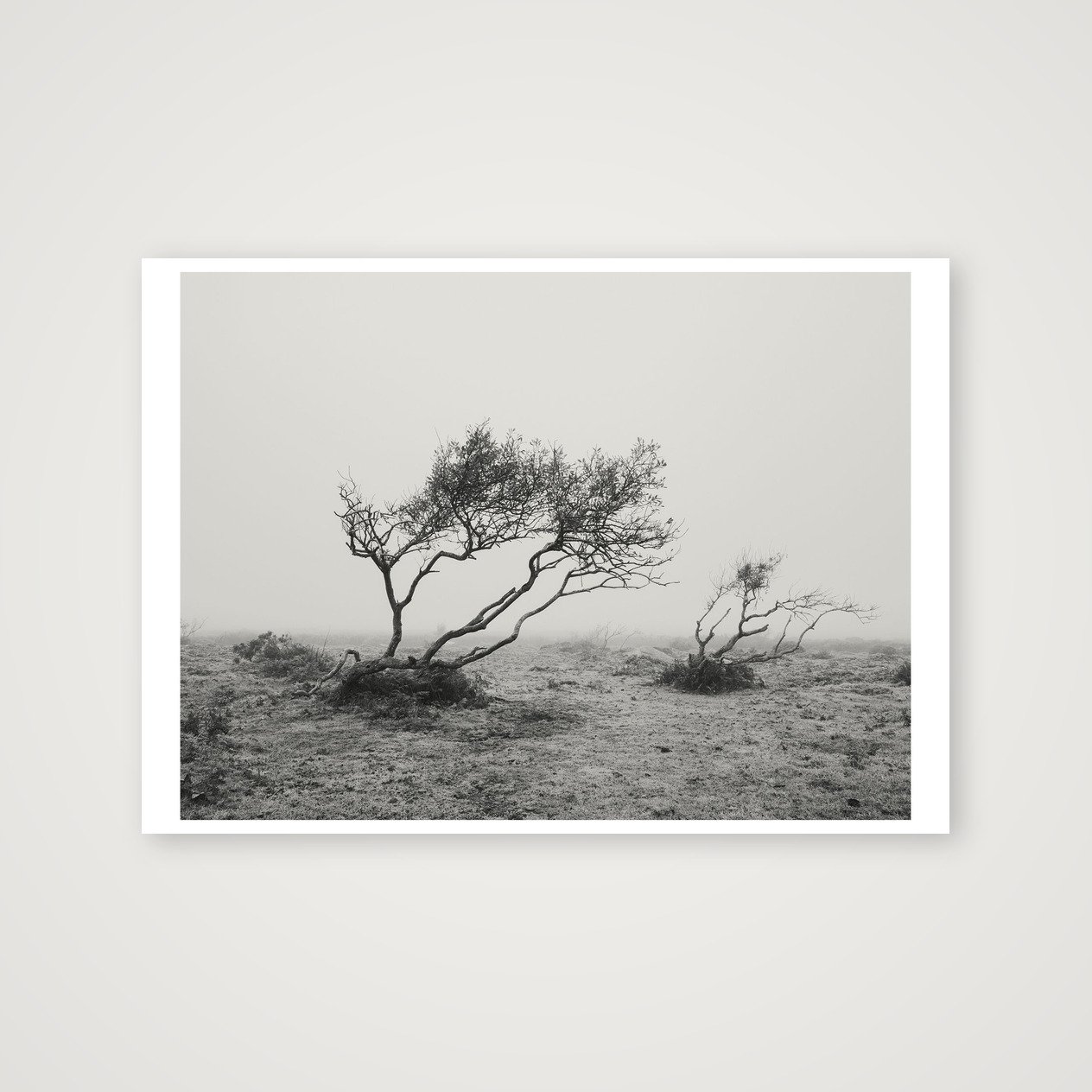 shot_table_1a8639f5_69fc6b86.jpg