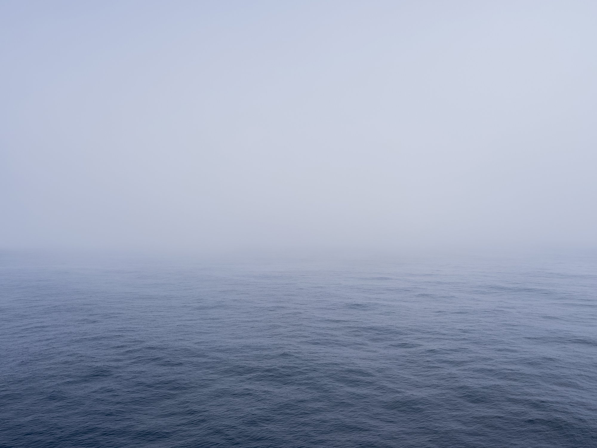 another_ocean_brain202520220630_0104.jpg