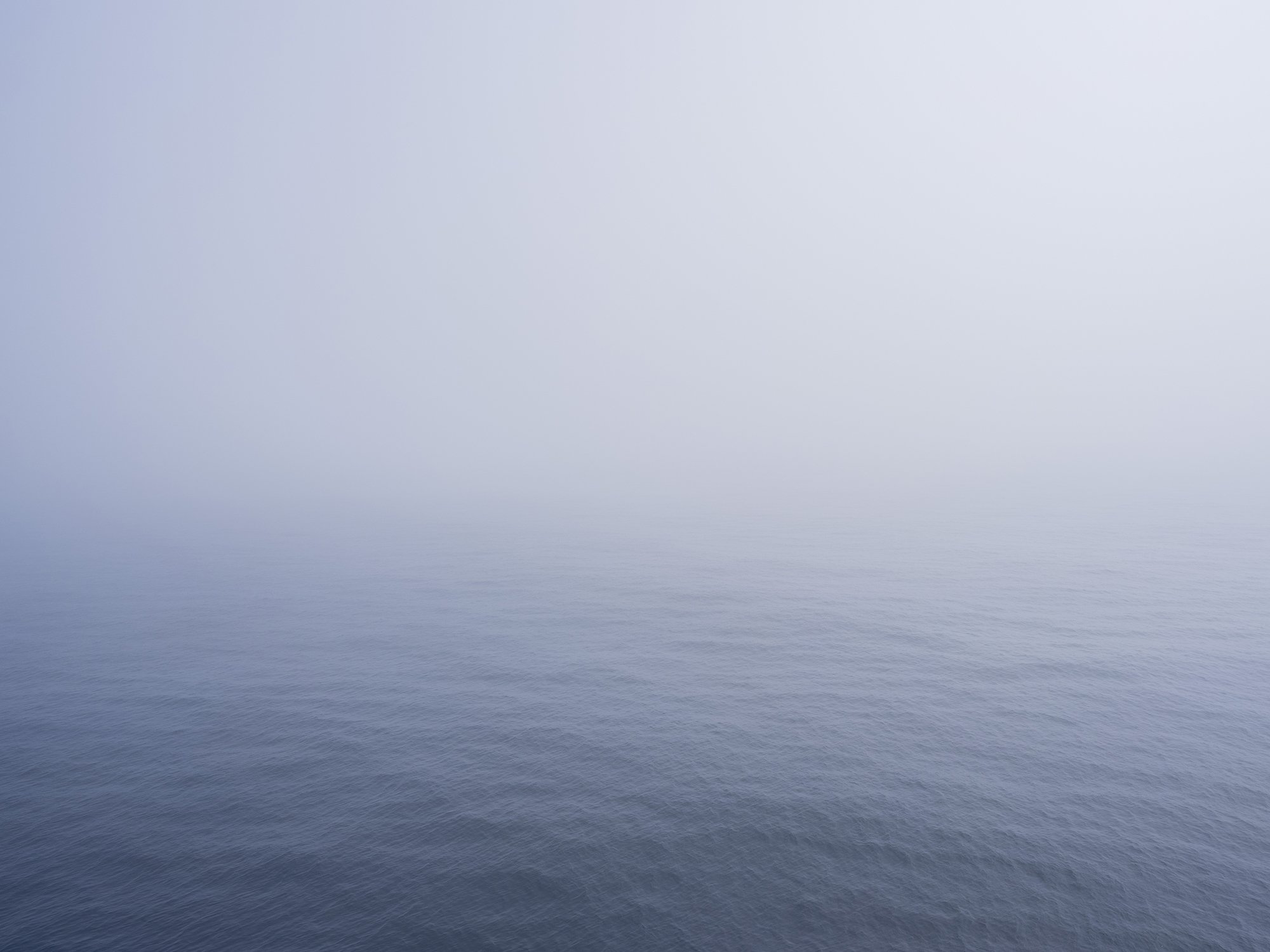 another_ocean_brain202520220701_0103.jpg