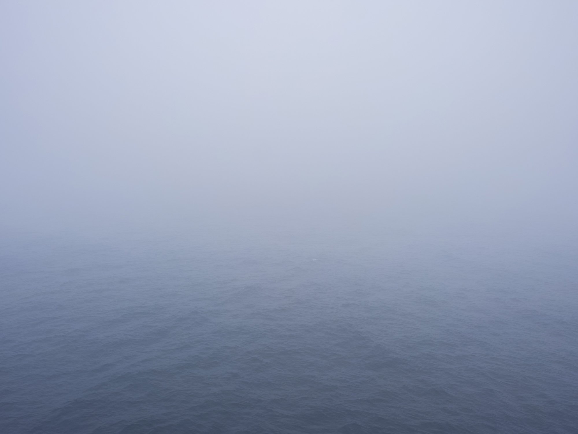 another_ocean_brain202520220630_0099.jpg