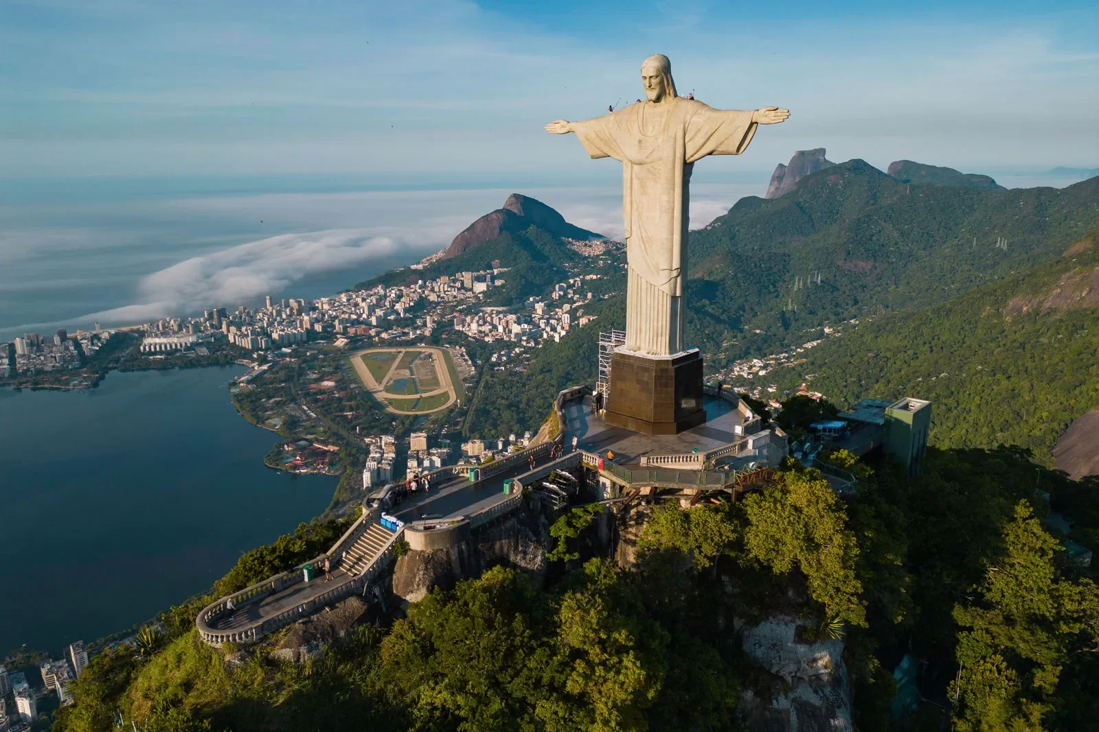 Brazil in Motion