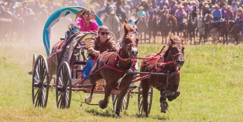 People riding a horse-drawn carriage at a race with a large crowd in the background.