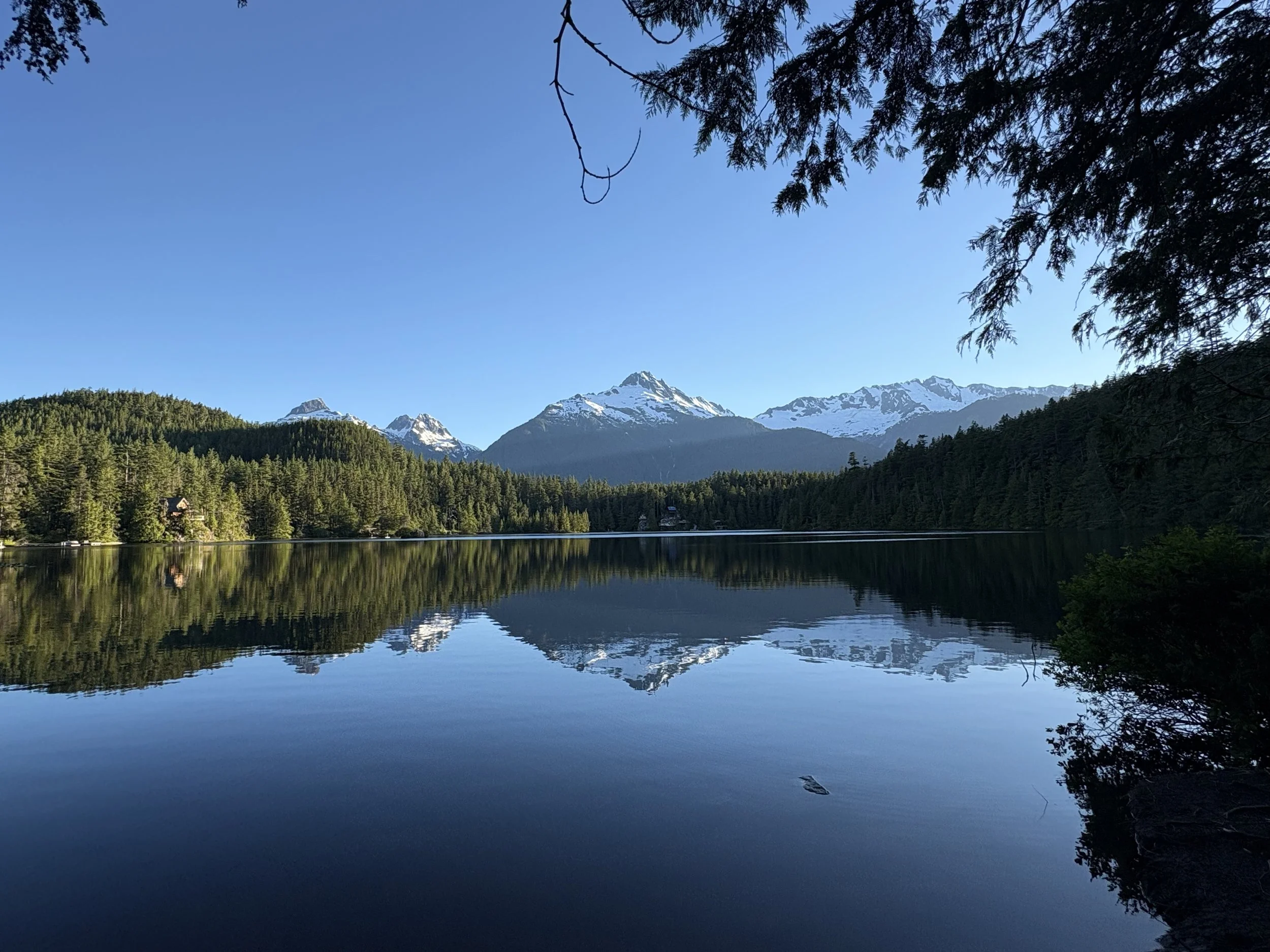 A tranquil lake reflecting snow-capped mountains and a clear blue sky, surrounded by dense green forest and overhanging tree branches.