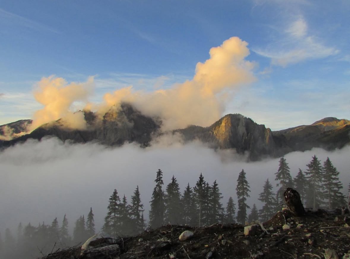 Volcanic eruption with ash and smoke rising from the volcanic mountain in the background, surrounded by fog and dense forest of pine trees.