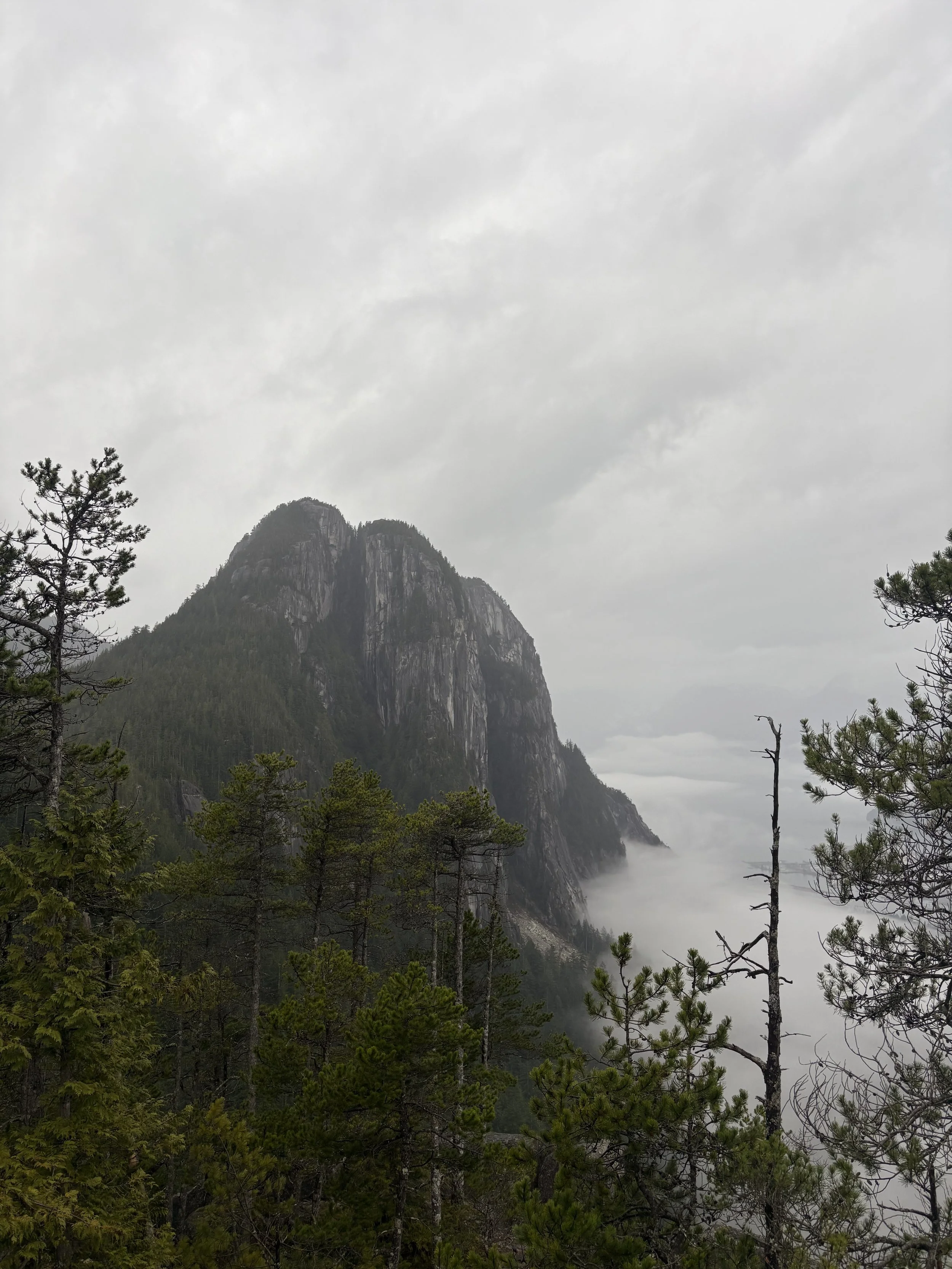 Overcast sky over a mountainous landscape with trees and mist in the valleys.