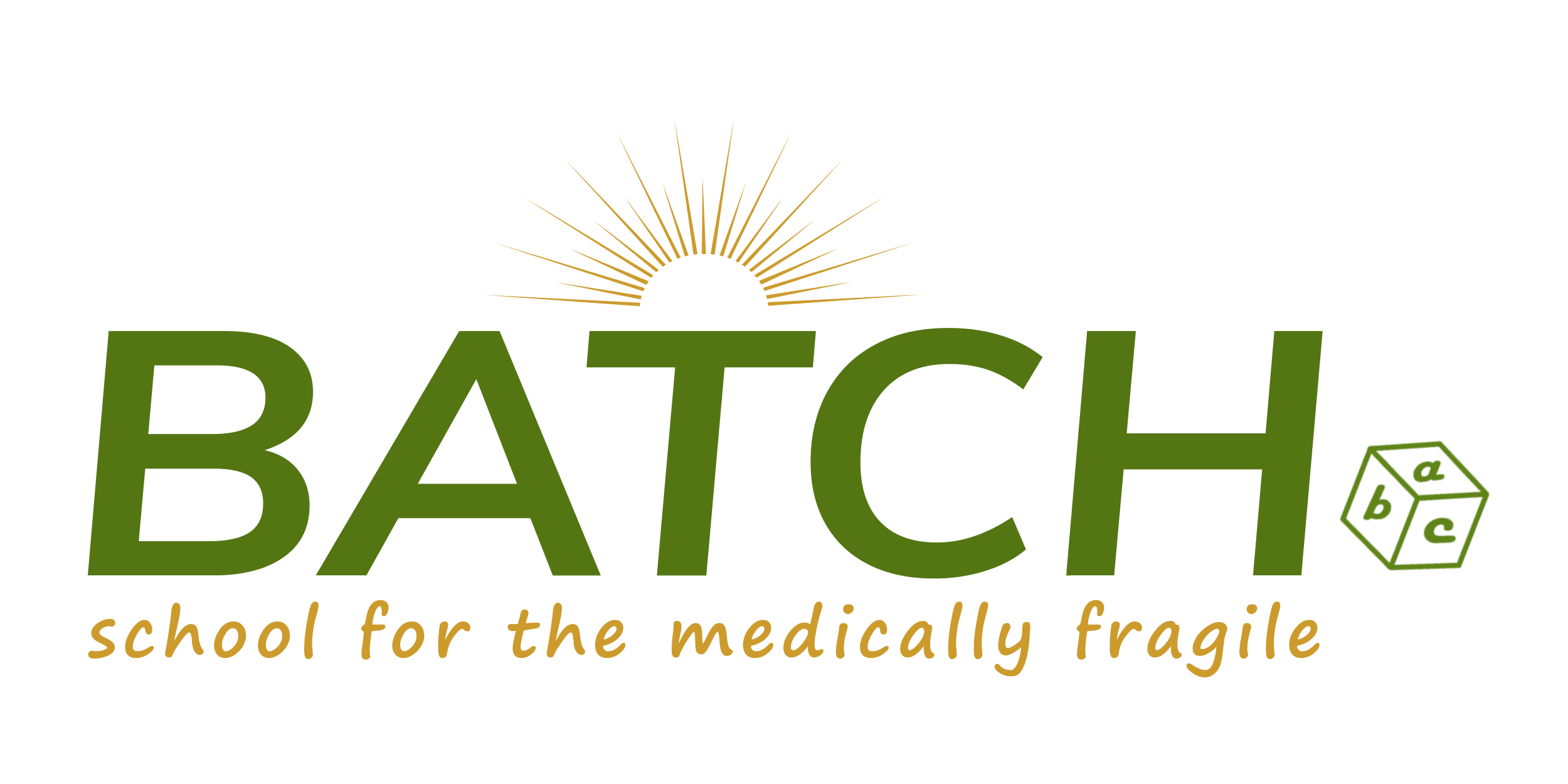 Batch LLC