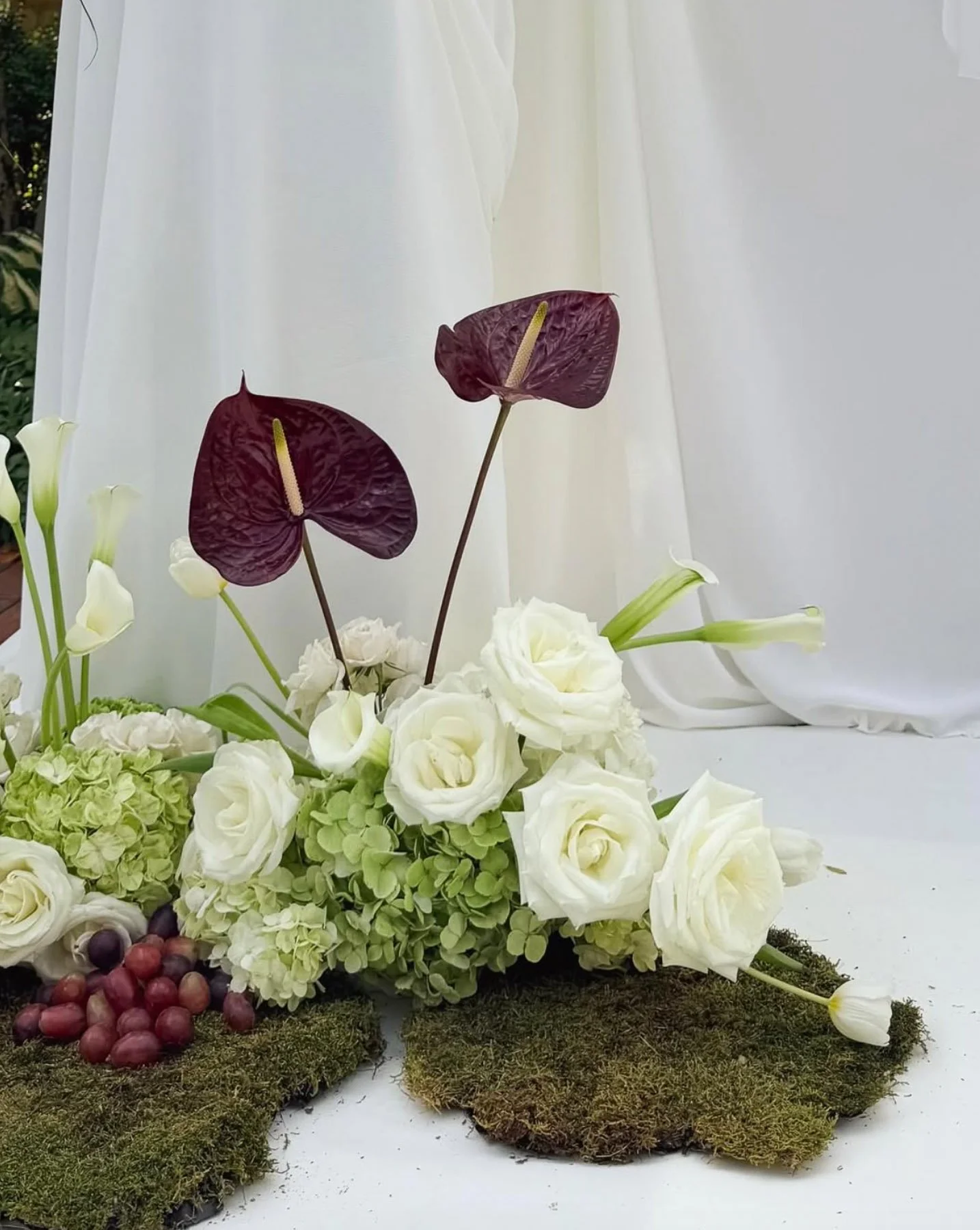 Screenshot 2026-03-26 at 5.27.28 PM.jpg