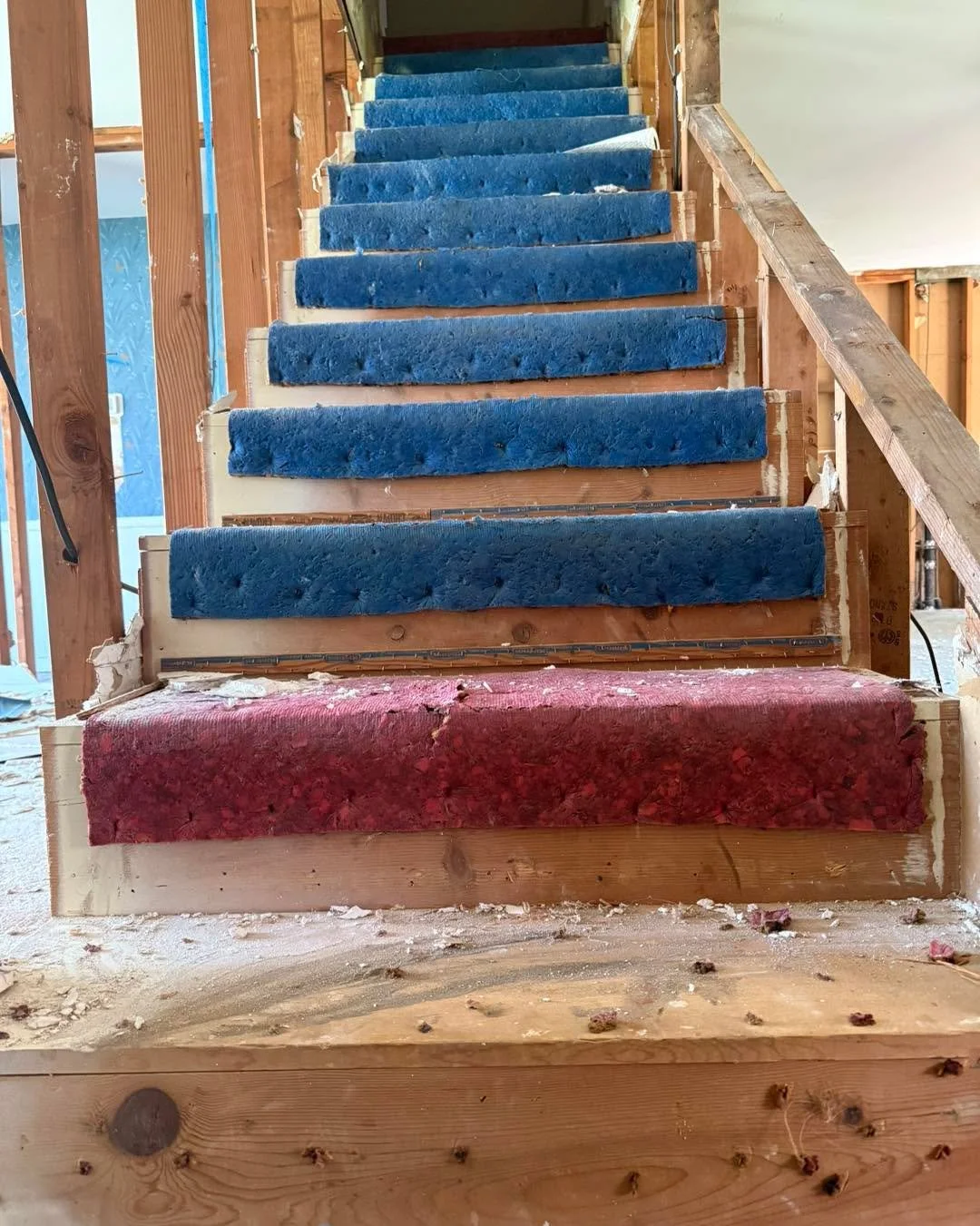 🦶🔧 These stairs aren’t giving up without a fight! Carpet, staples, padding—layer after layer, we’re tackling it all.
1 down; 11 to go.🤡
#PKCServices #TheKnottyNest #BigfootEnergy #RemodelLife