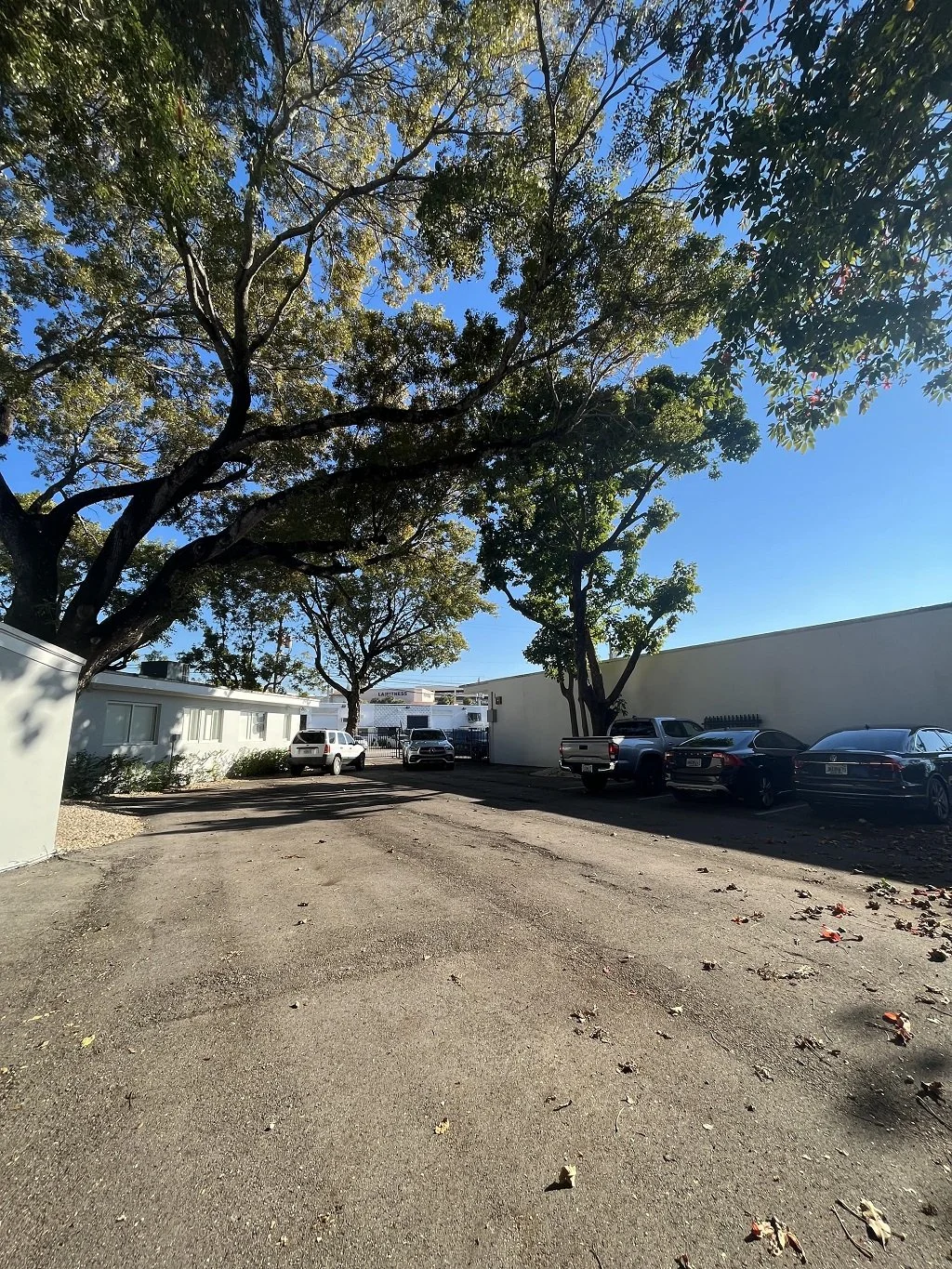 Parking-Lot.jpeg