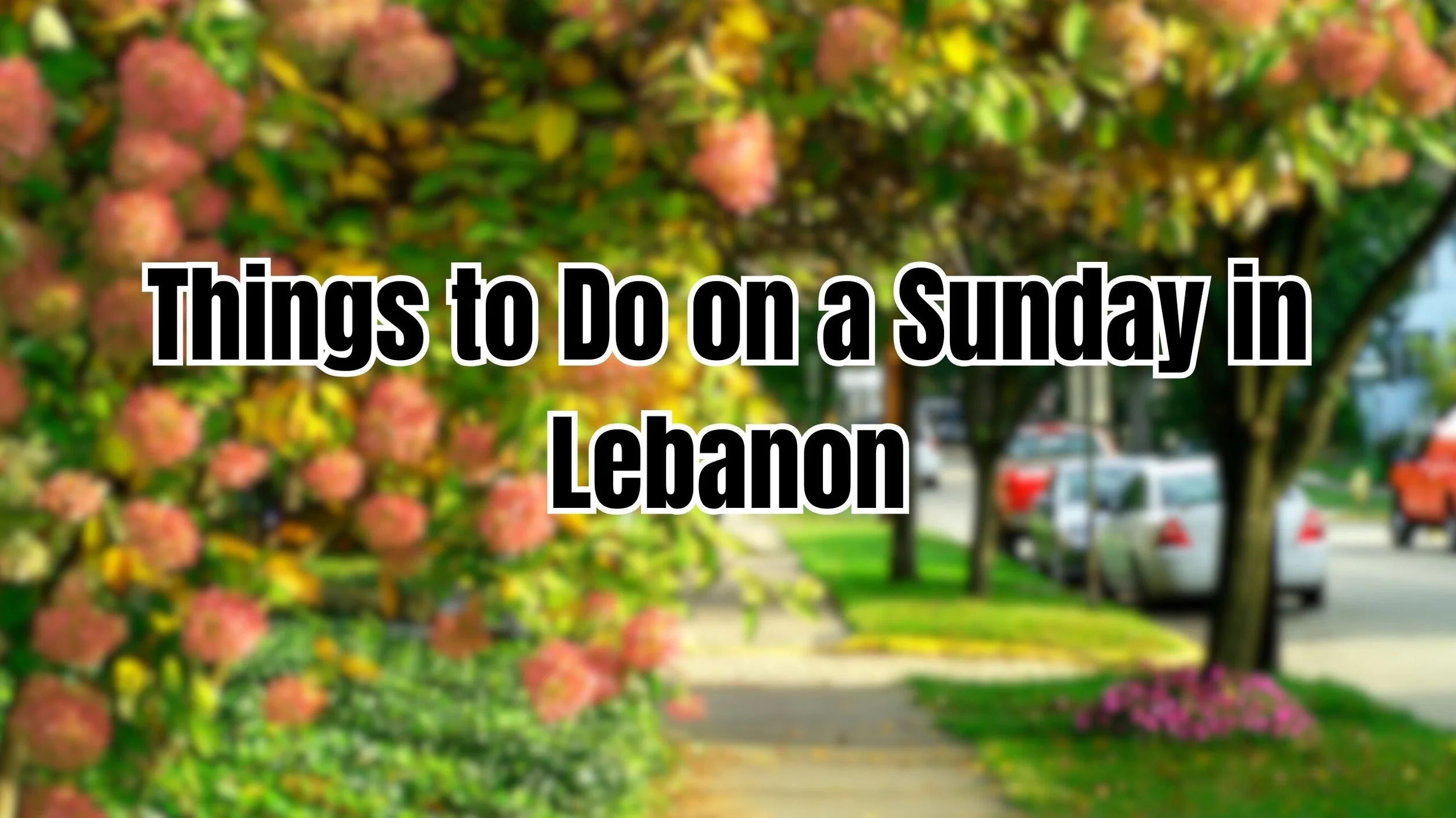 Sunday in Lebanon: Fun Things to Do Before the Work Week Starts