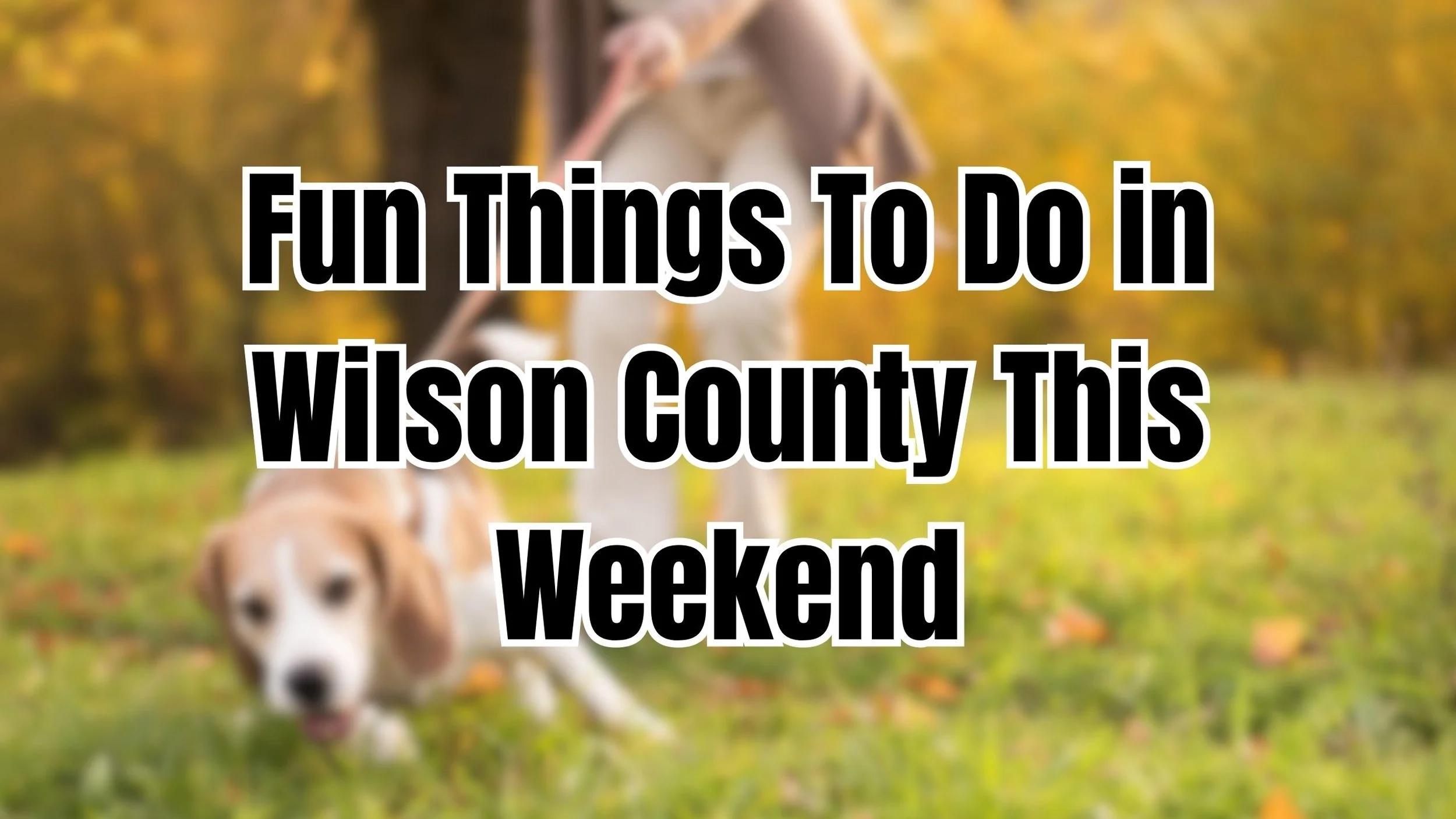 5 Fun Activities to Try in Wilson County This Weekend (October 2025)