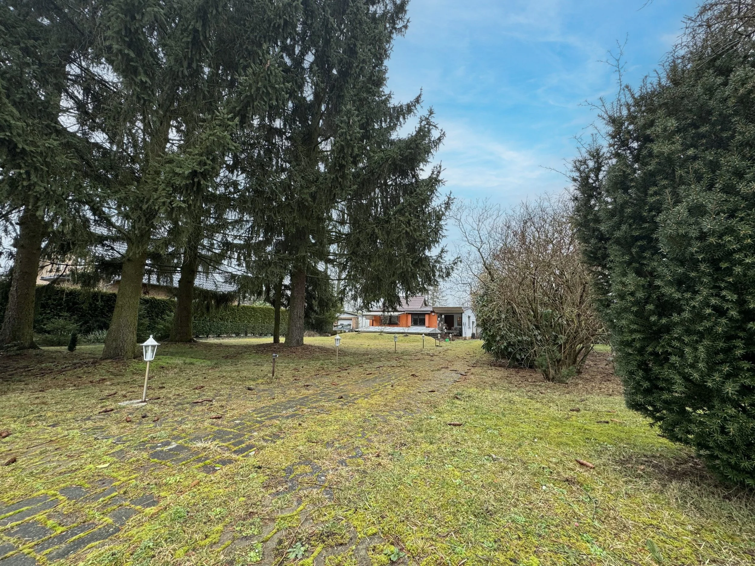 Ein Garten mit großen Tannenbäumen, Sträuchern und einer zum Haus führenden Weg, auf dem einige Lampen stehen. Im Hintergrund ist ein modern gestaltetes Haus zu sehen.