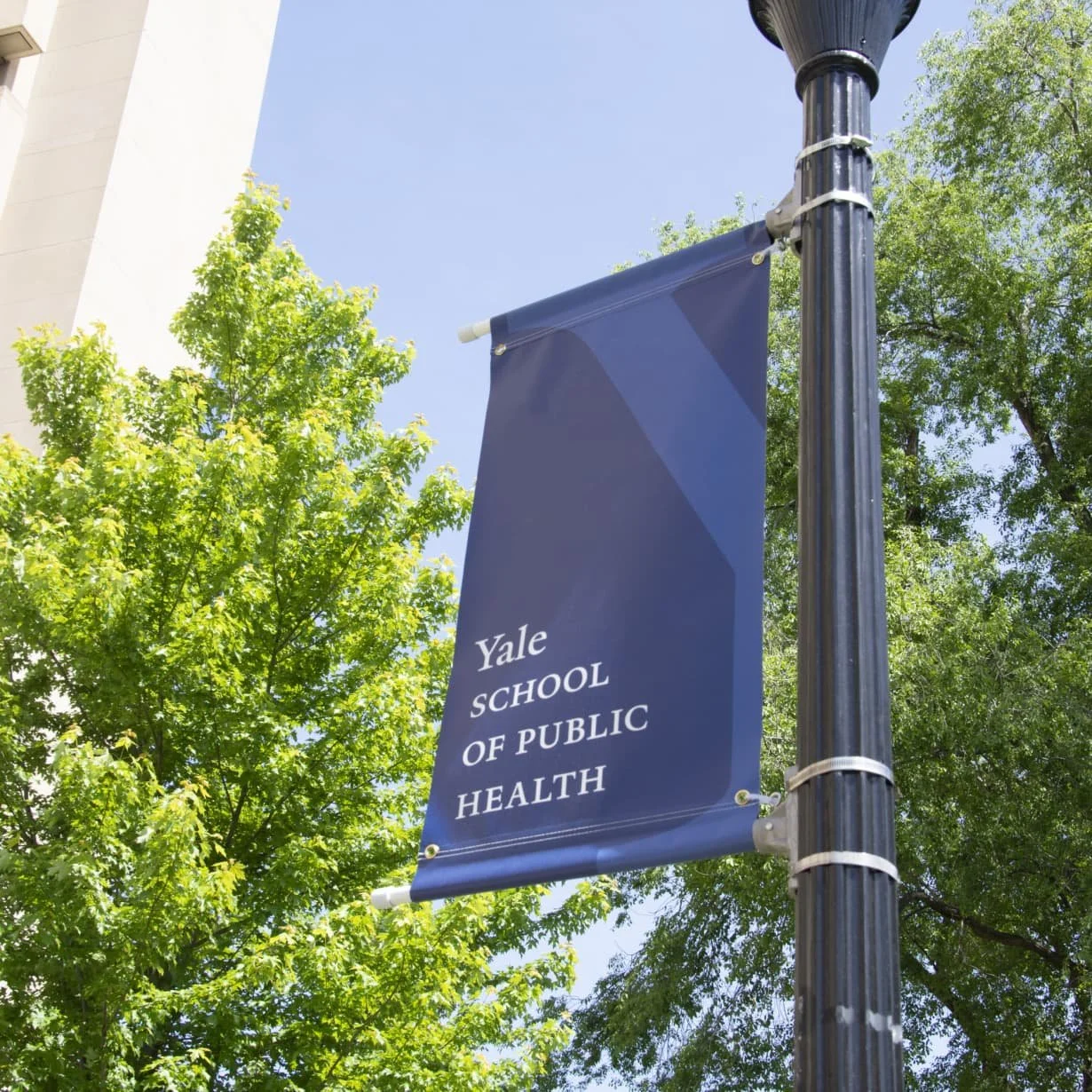 Apply Today — Big Data Summer Immersion at Yale