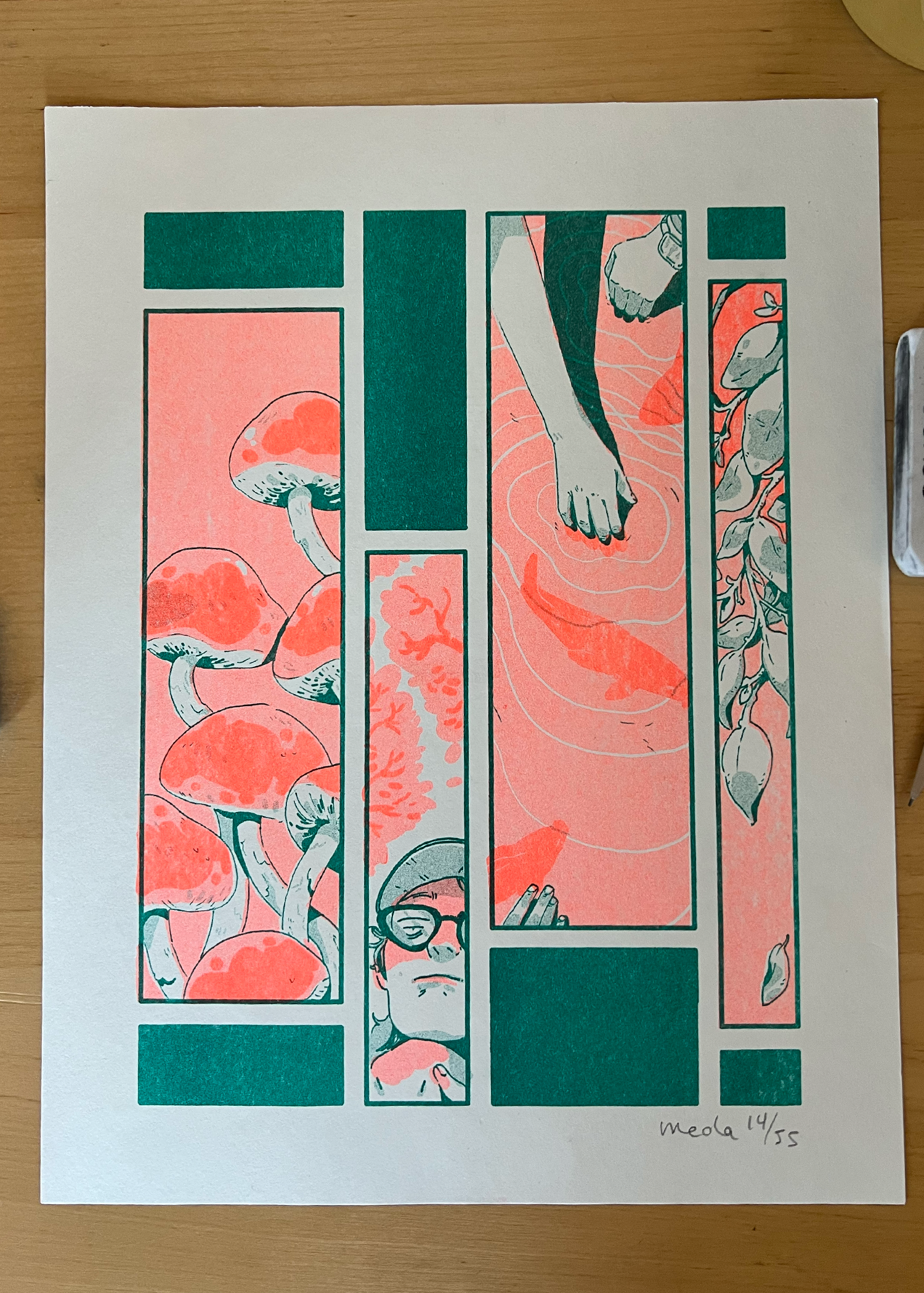 ruptures1.png