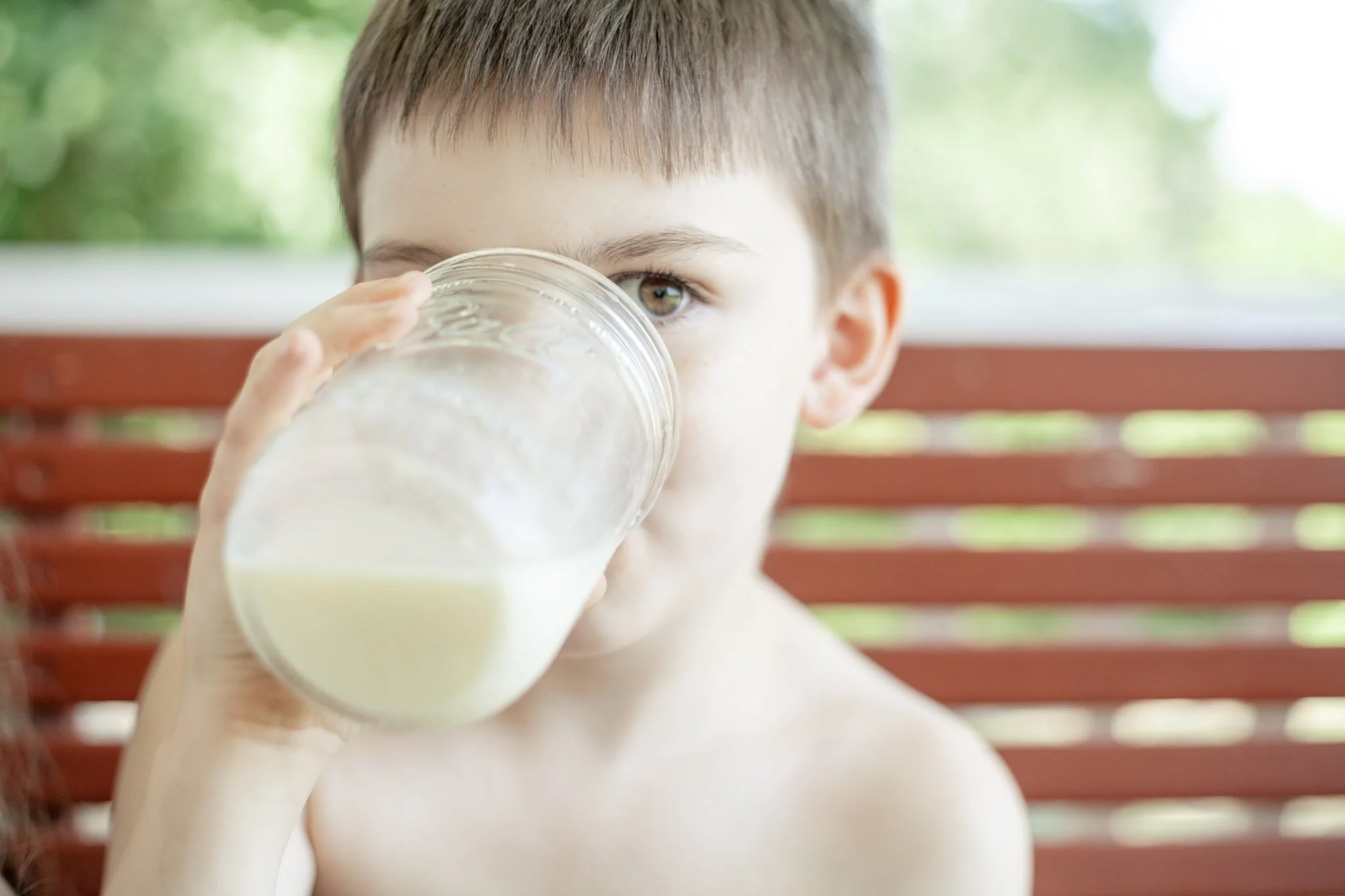 Raw Milk Herd Share Annual Buy In