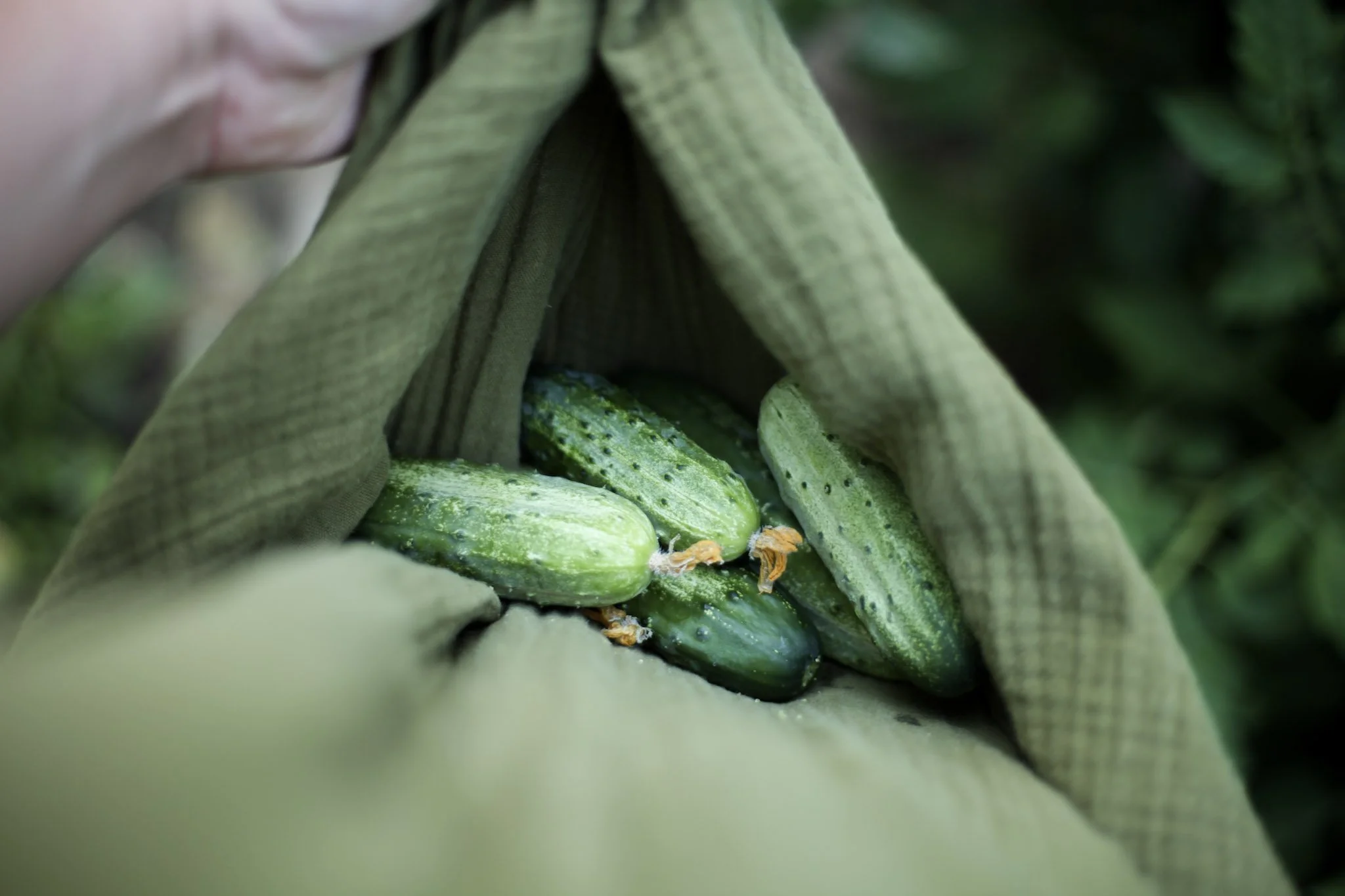 Plan Your Garden for Your Family Size (And What You’ll Actually Eat)