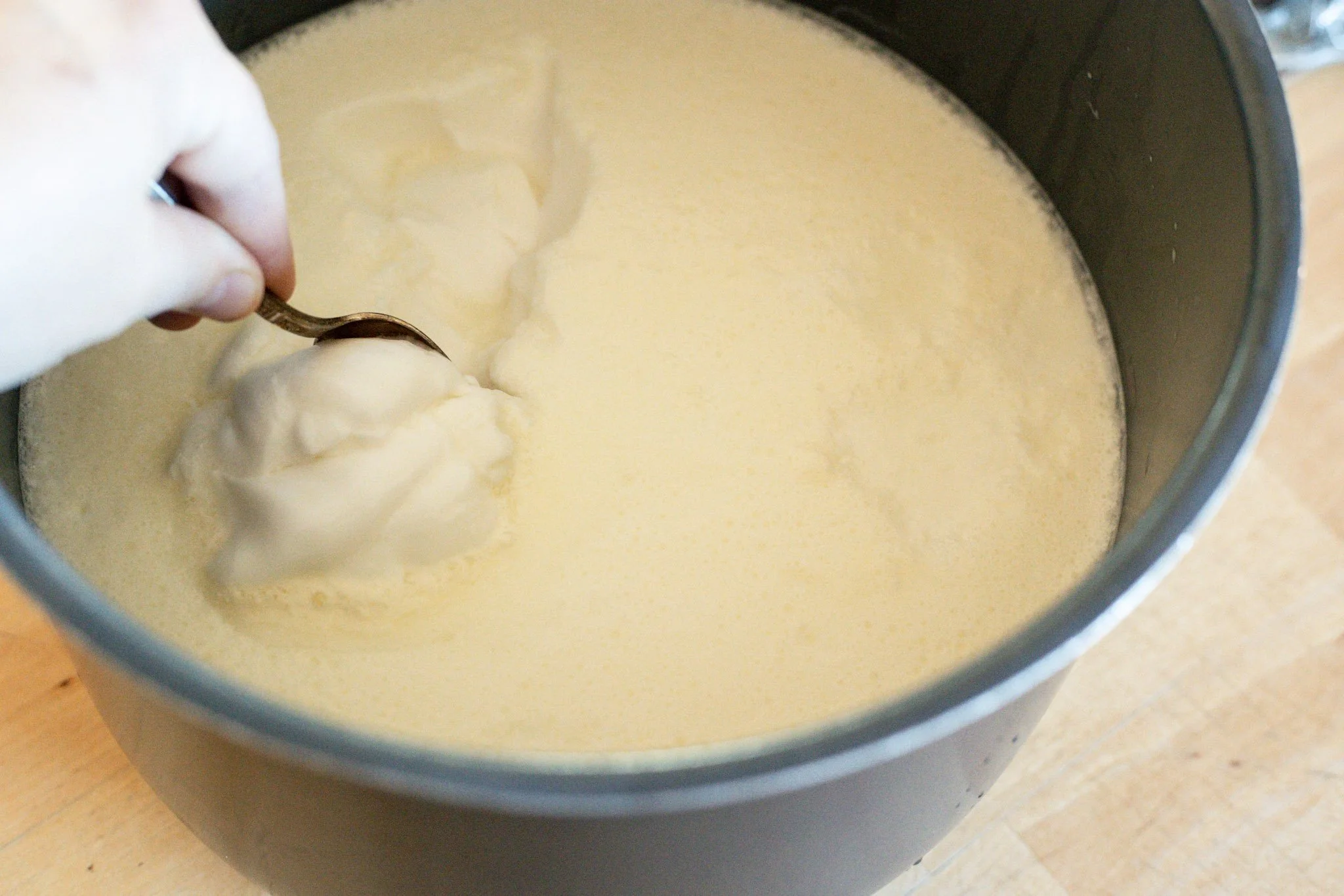 freshly made homemade yogurt