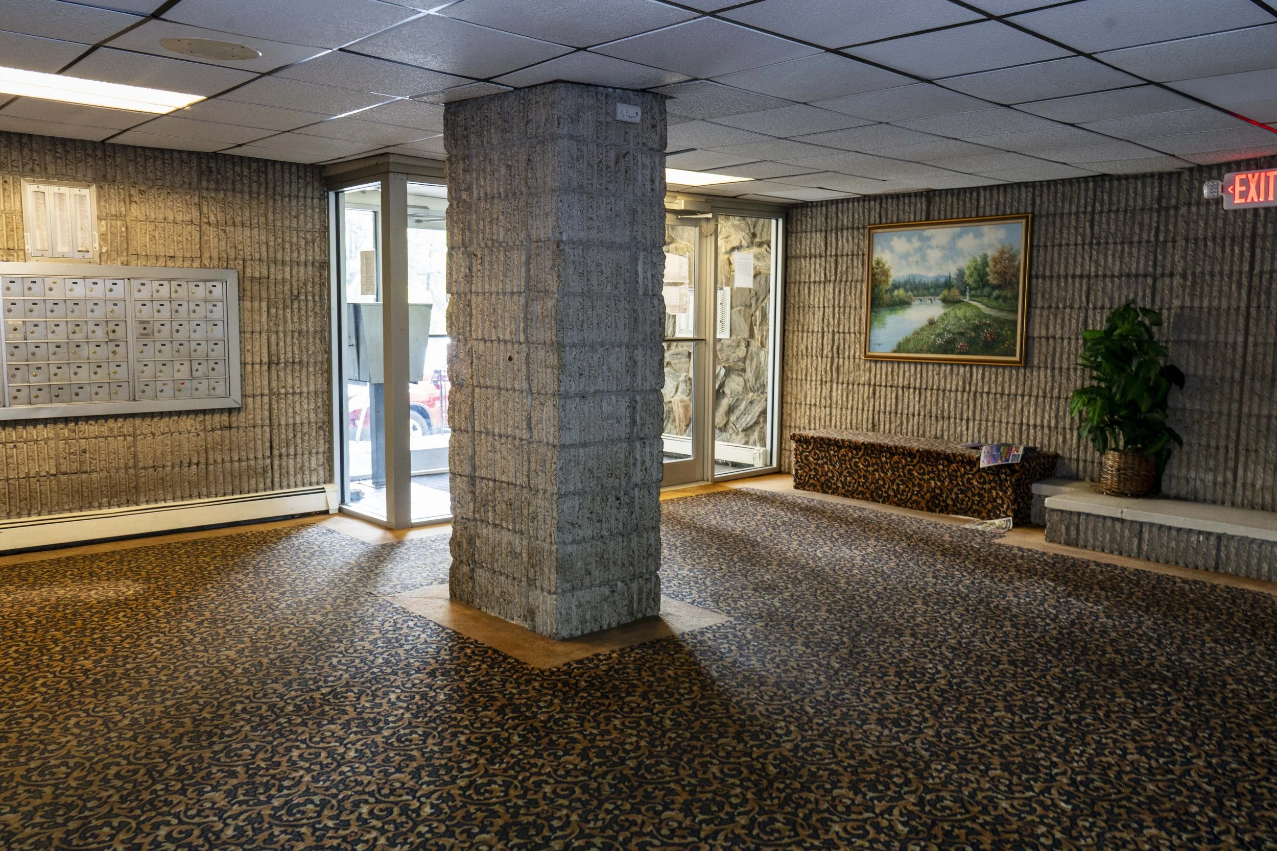 Lobby area with dotted wallpaper, a concrete column, a wall of mailboxes, a glass entrance door, a framed landscape painting, a potted plant, and a patterned carpet.