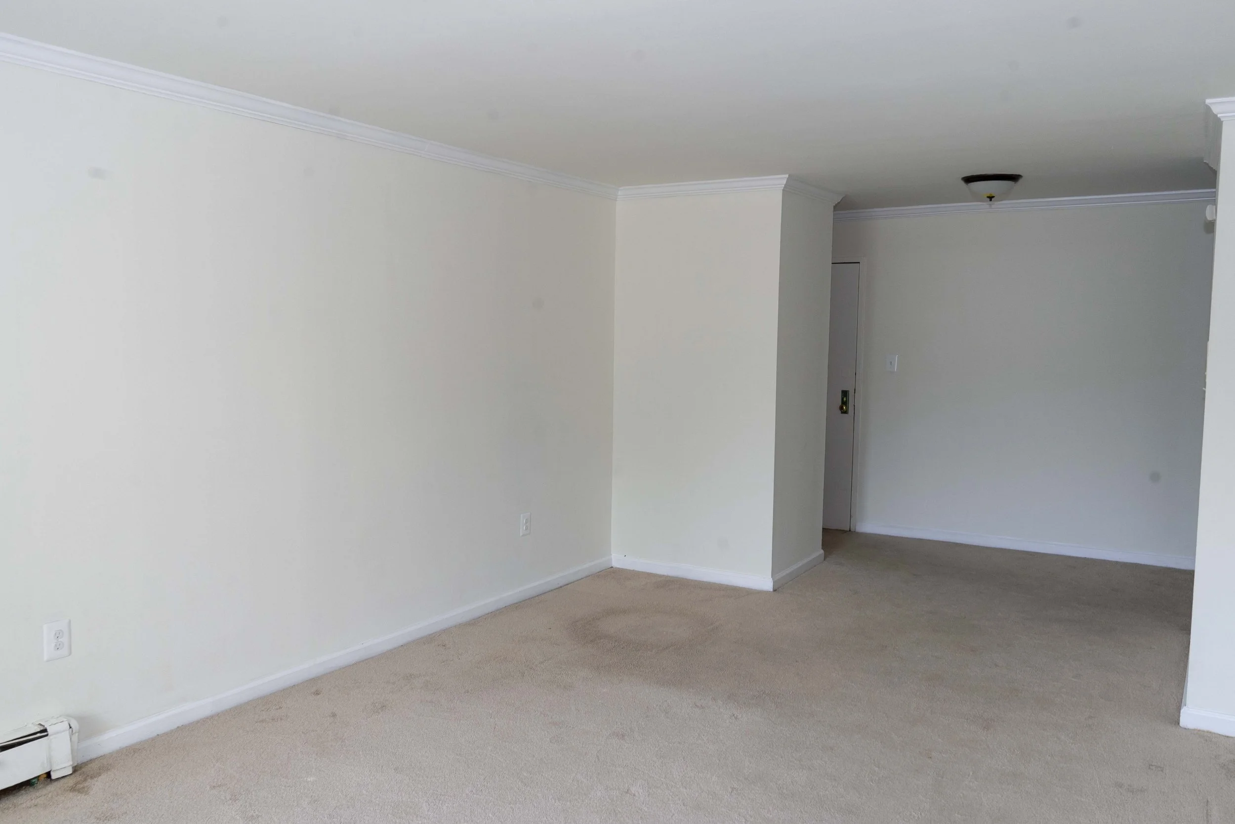 Empty living room with white walls, beige carpeted floor, crown molding, and a ceiling light fixture.