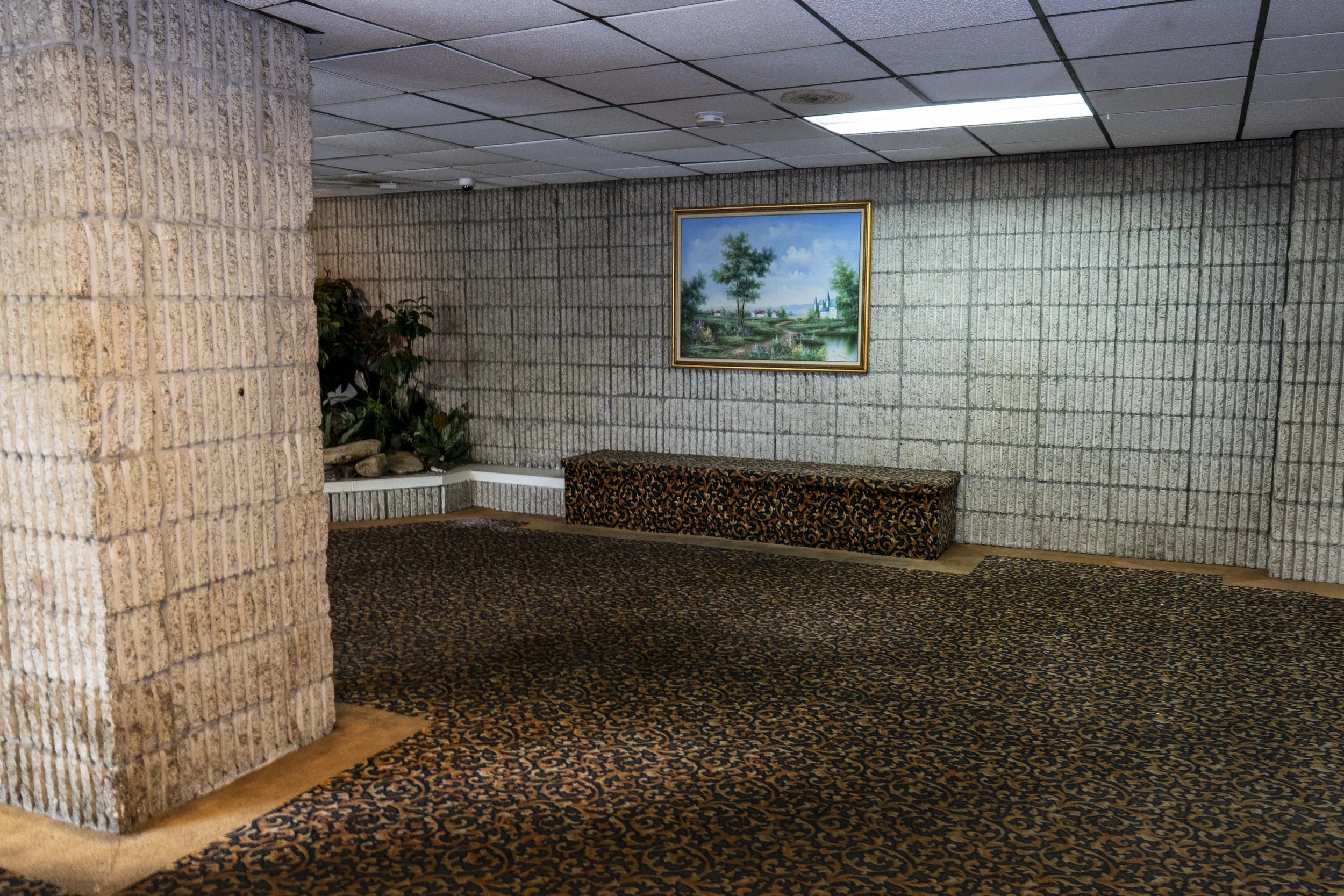 Interior of a waiting area with a patterned carpet, a cushioned bench, potted plants in a corner, a framed landscape painting on a textured cinder block wall, and a drop ceiling with fluorescent lighting.