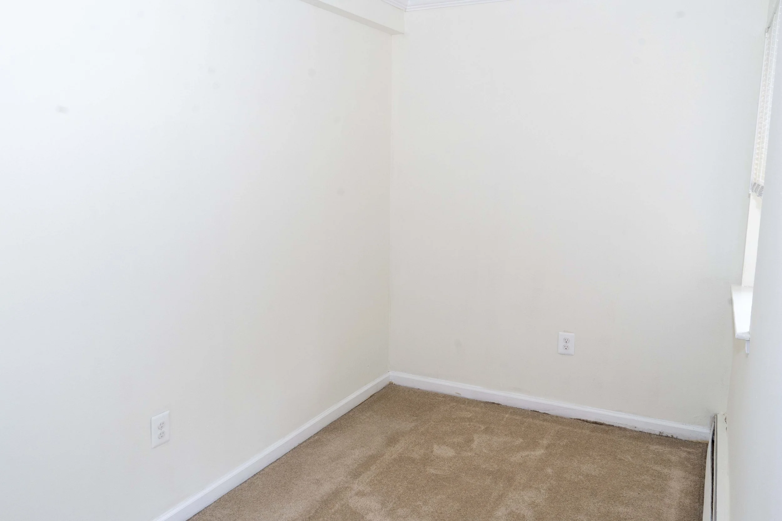 Empty room with white walls, beige carpet, and a window with partially open blinds.