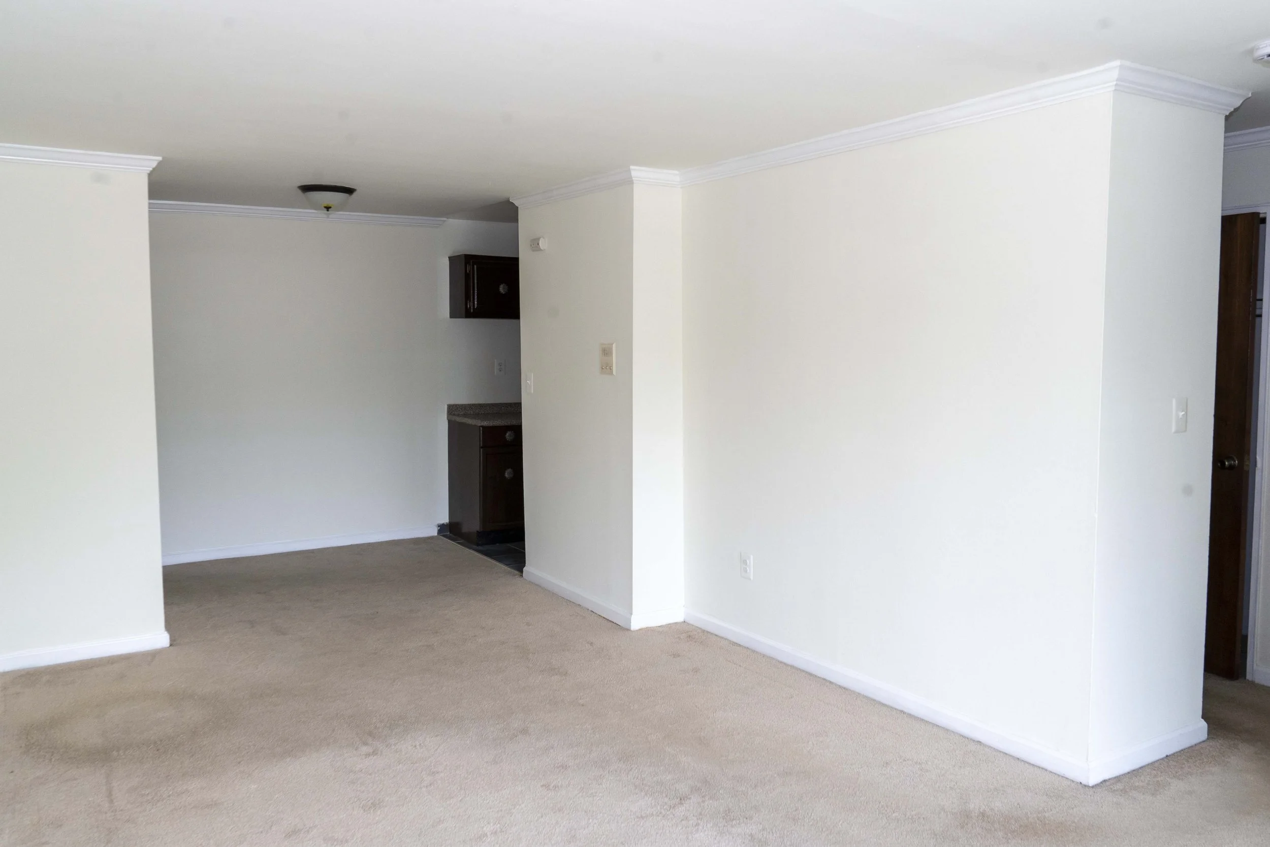 Empty living room with beige carpet, white walls, and a small kitchen area in the background.