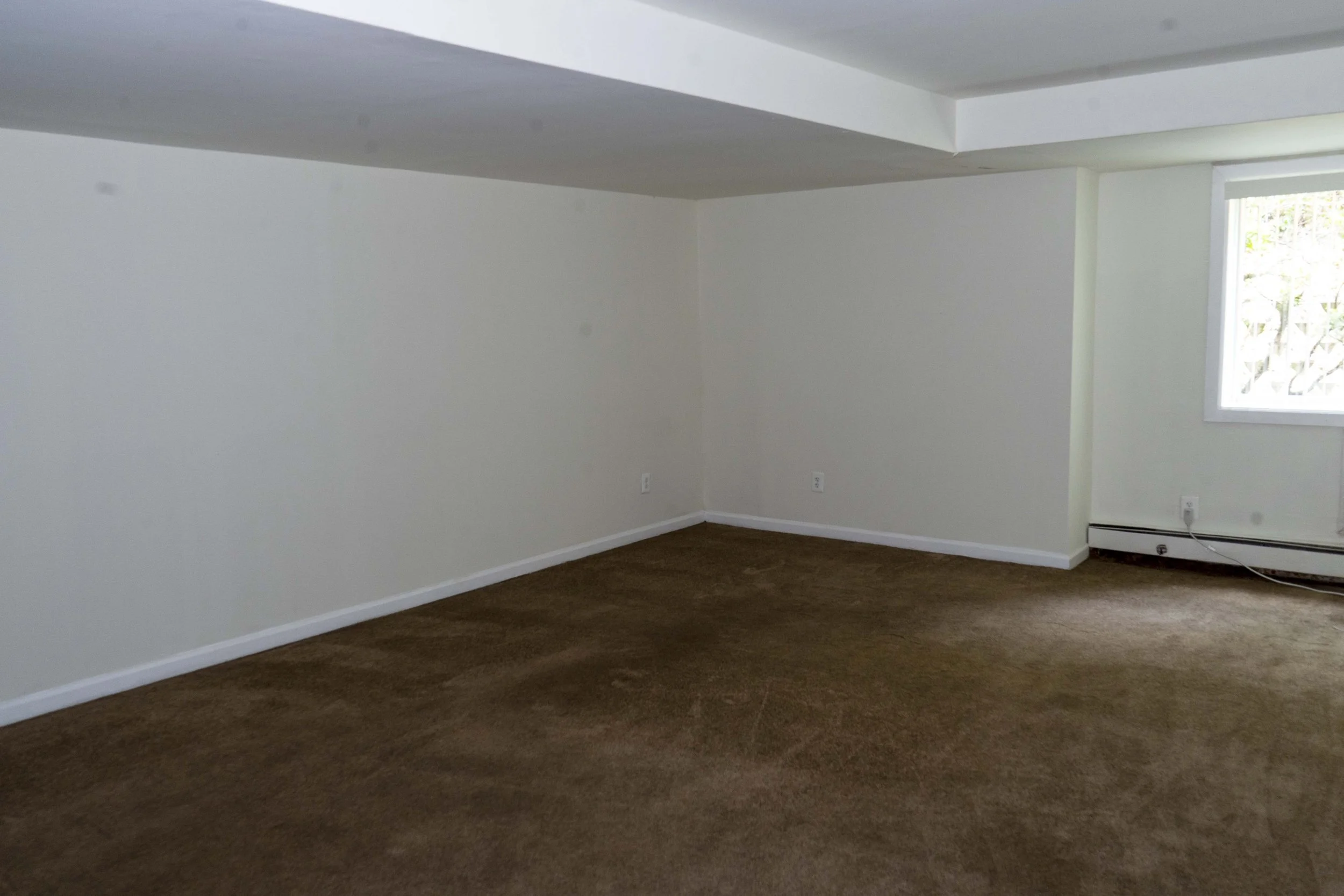 Empty room with beige walls, brown carpet, and a window showing greenery outside.