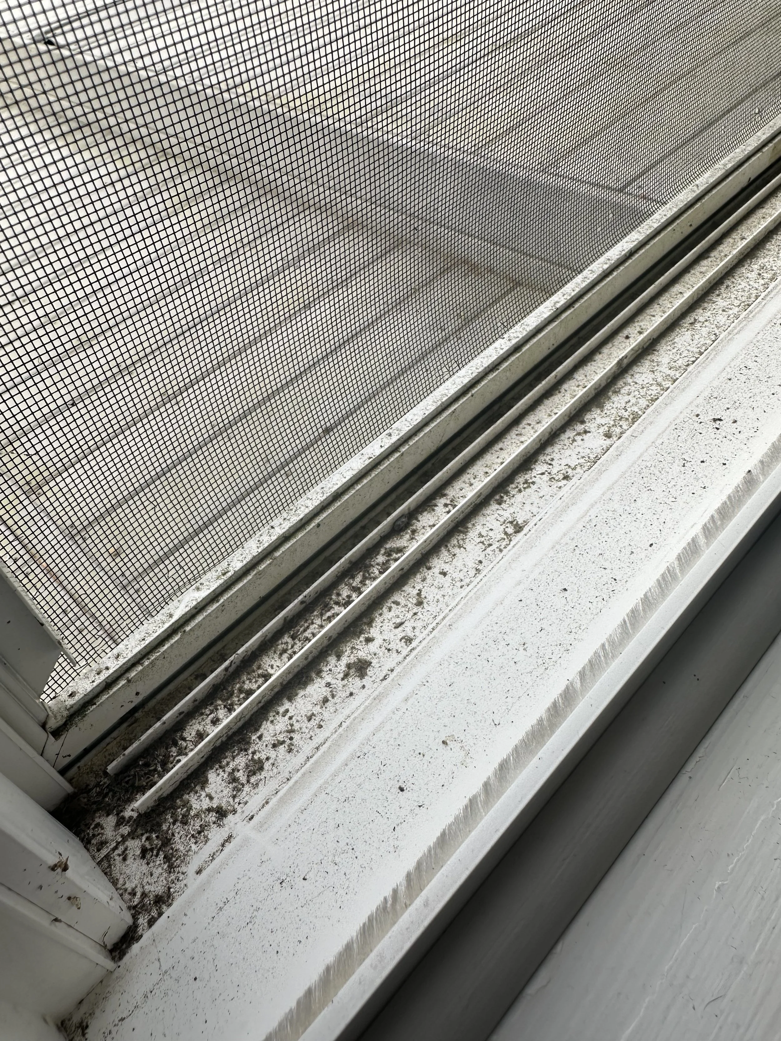 Close-up of a dirty window or door screen with dust and debris, along with a window sill showing accumulated grime.